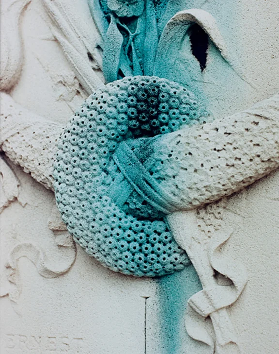 You'll Never Follow Me, 2010 20x16 inches