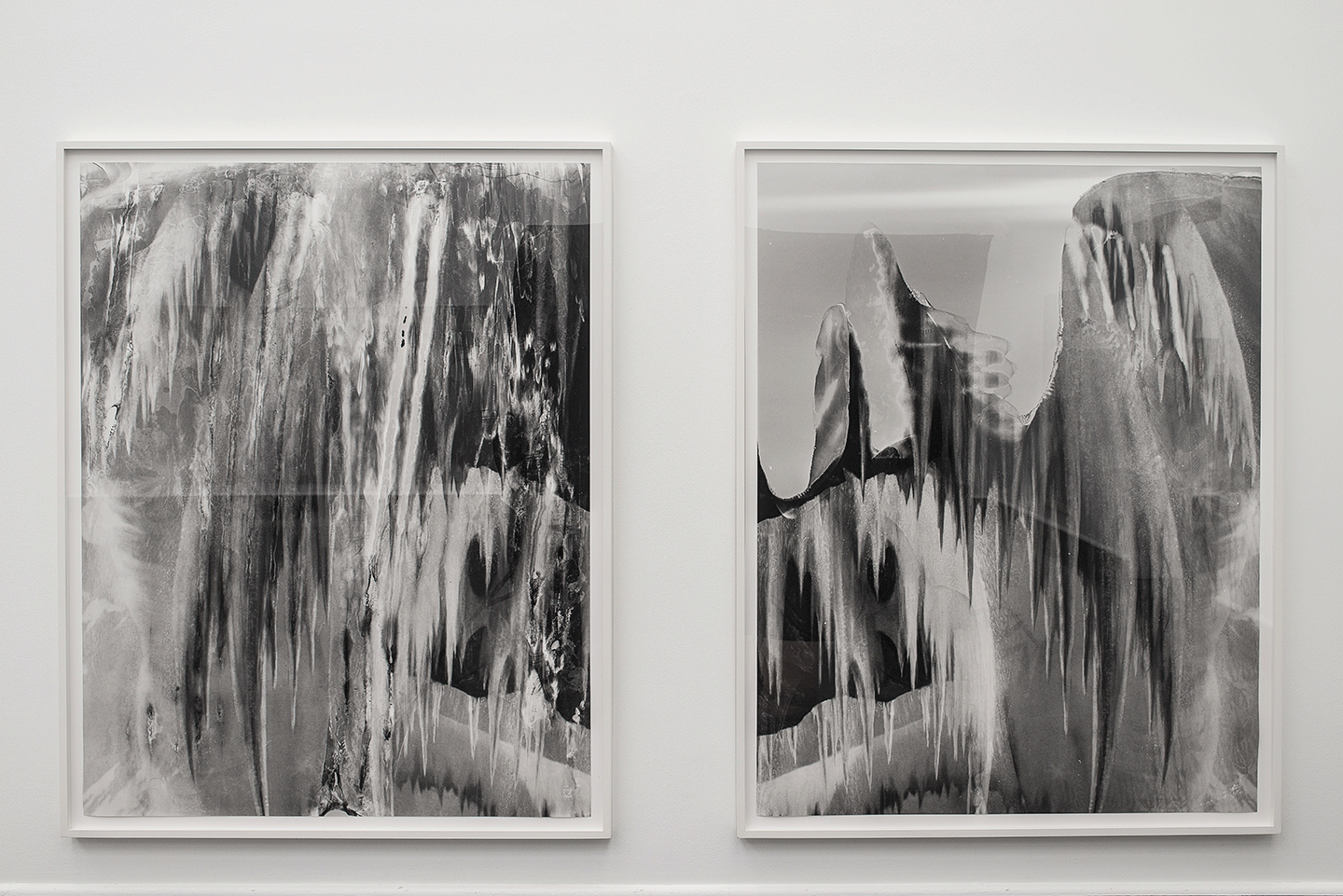 Coming of Winter, 2015 Gelatin silver prints hinged on museum board 61 x 48 inches each (diptych) 