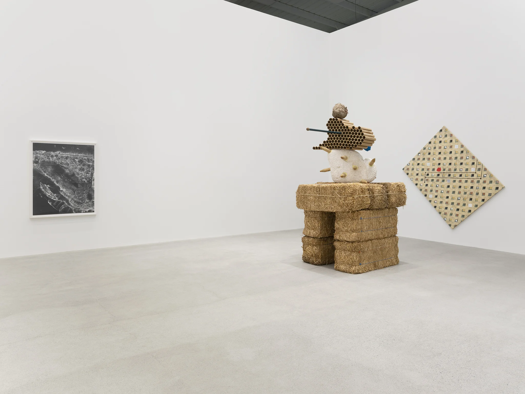 Install shot with works by Brian Jungen and Nick Sikkuark
