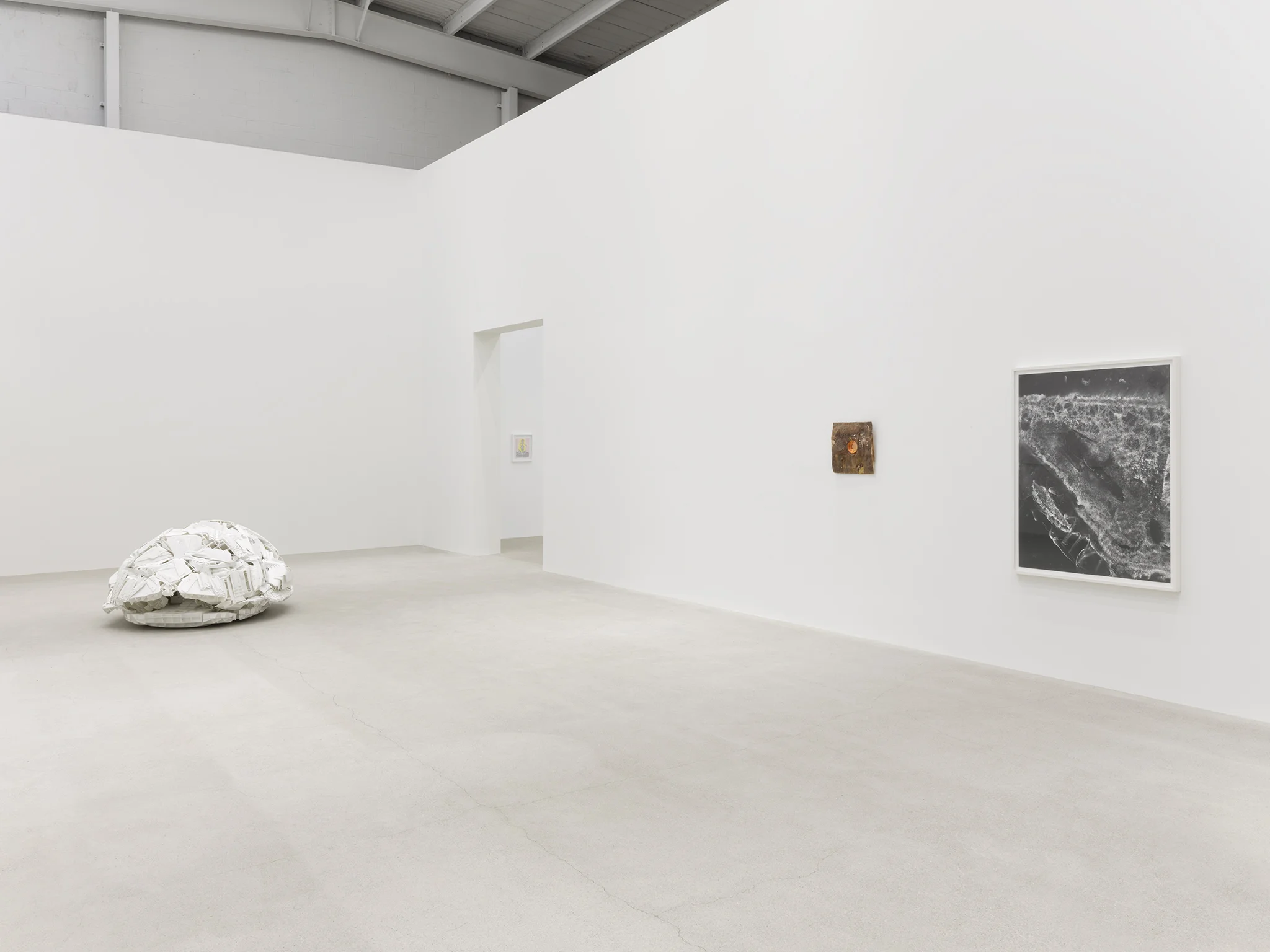 Installation view with works by Rochelle Goldberg, Jerry Pethick and Nick Sikkuark
