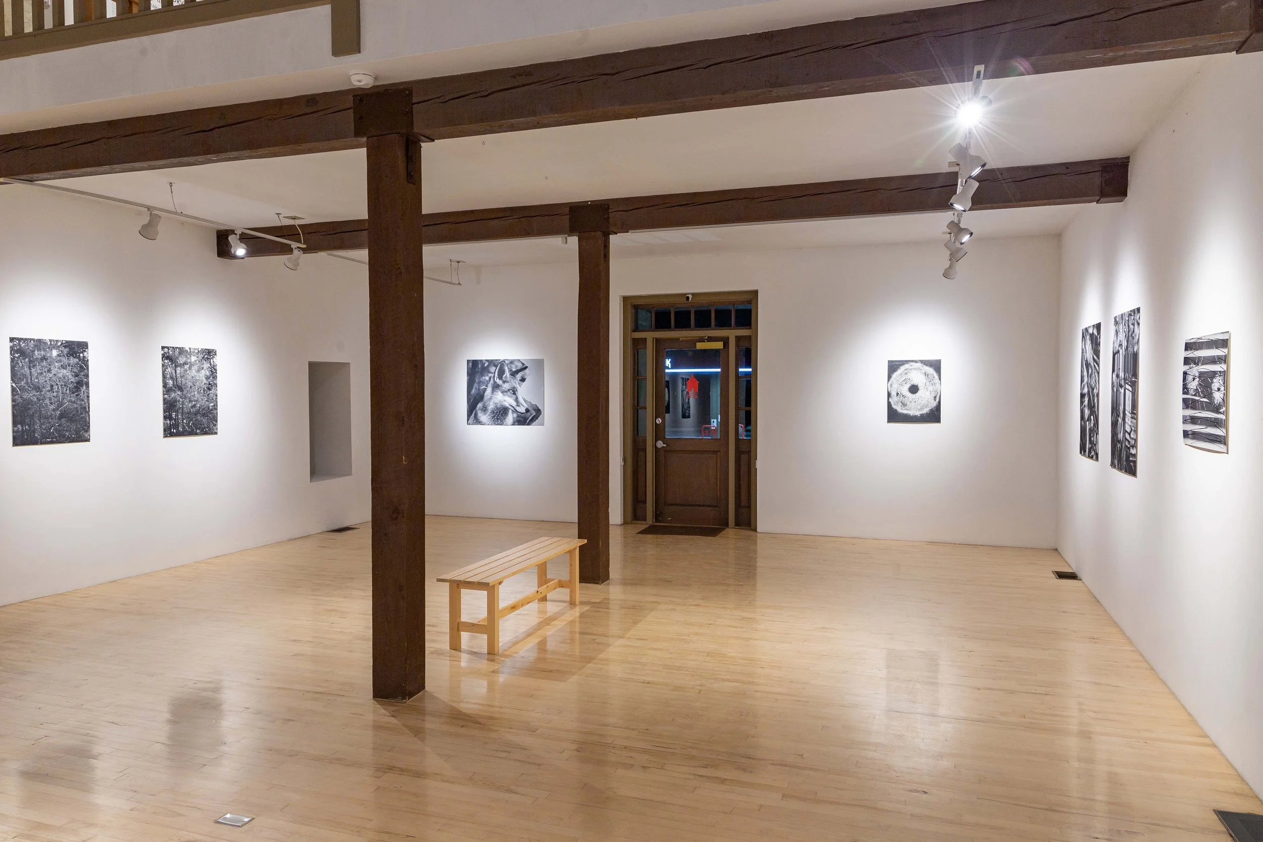 Eileen Quinlan_Install_Under Water_Granary Arts_Ephraim_2024.jpg