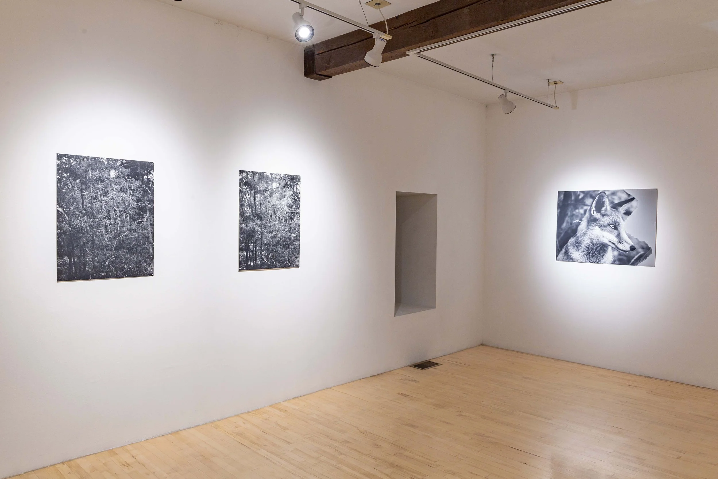 Eileen Quinlan_Install_Under Water_Granary Arts_Ephraim_2024.jpg