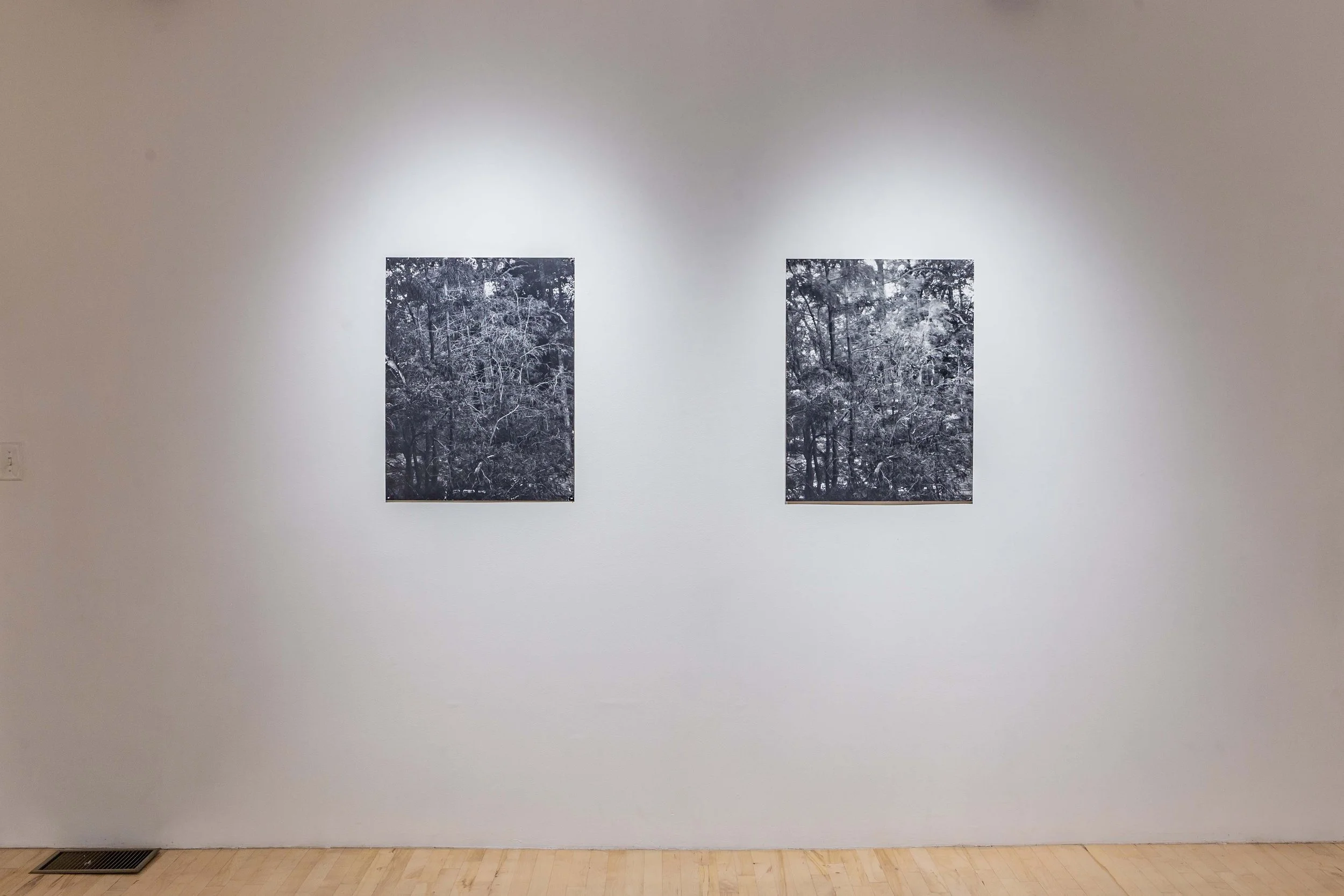 Eileen Quinlan_Install_Under Water_Granary Arts_Ephraim_2024.jpg