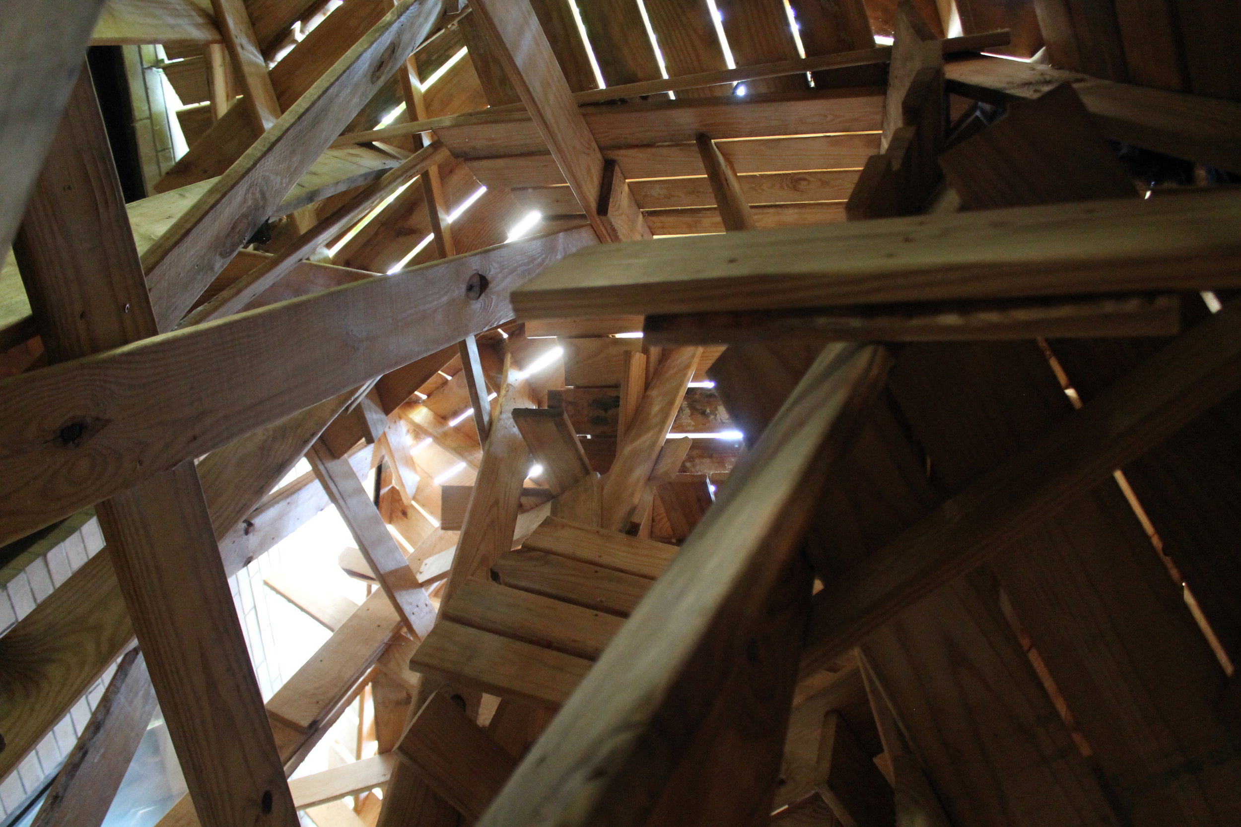 InWoodWeTrust-michael Solomon 1.JPG