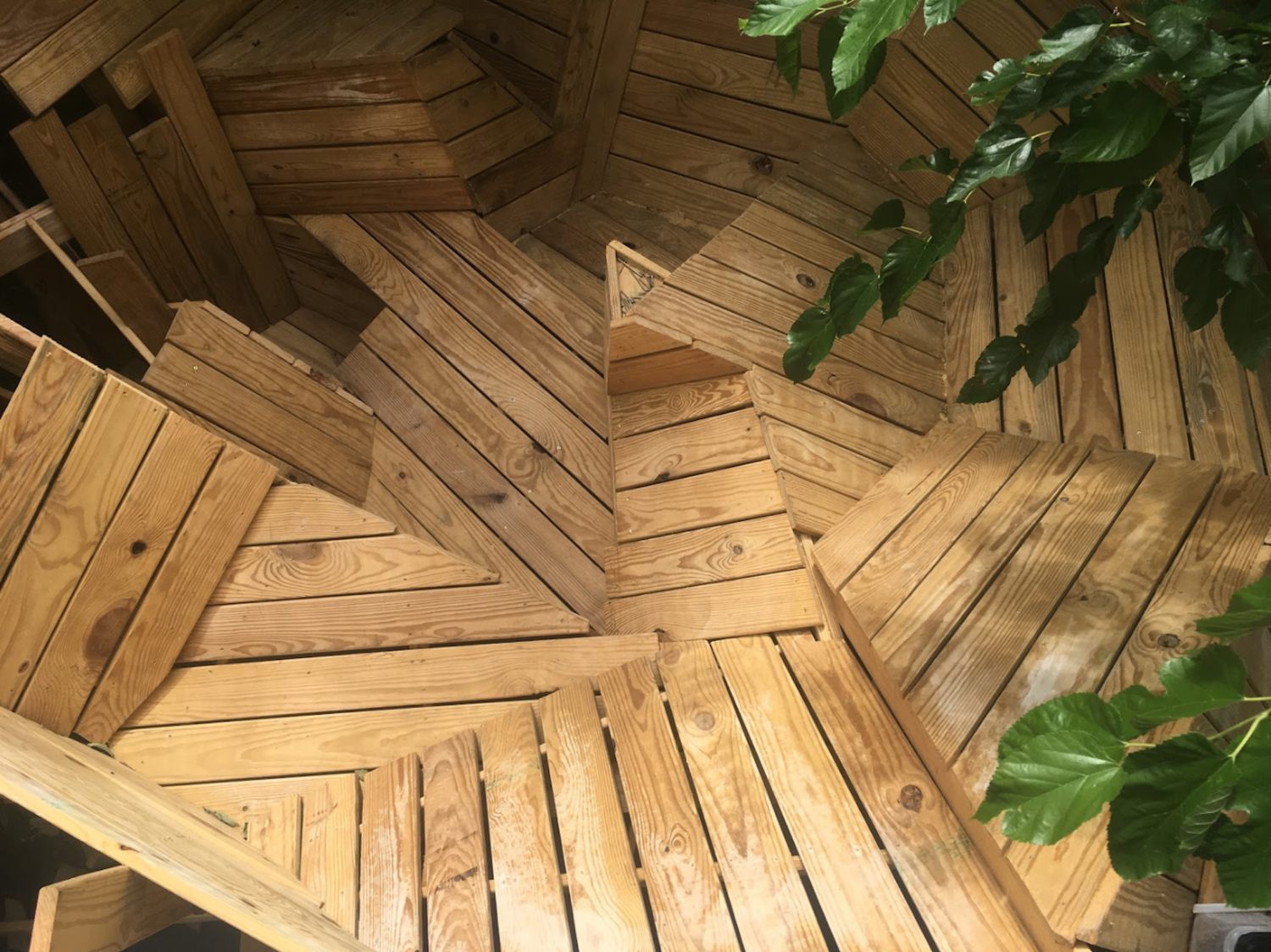 Chapuisat Brothers, In Wood We Trust