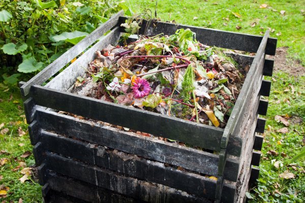 Learn about composting