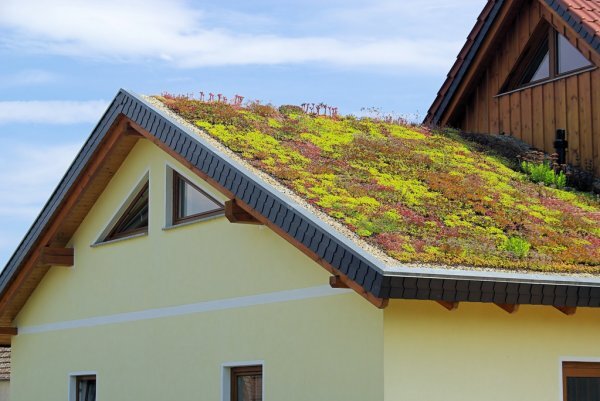 Consider green and solar roofing