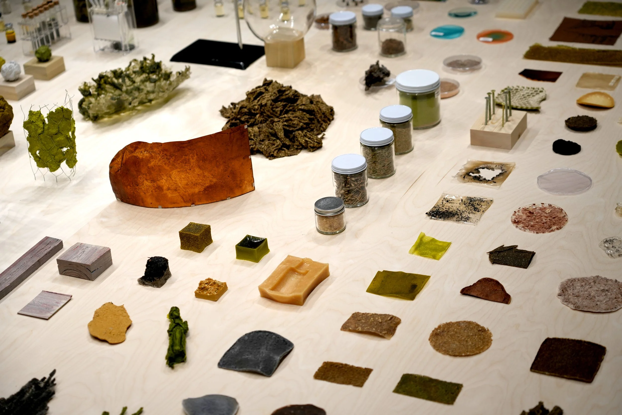 Working Studios: Christmas Tree Harvesting with Sangwoo Yoo