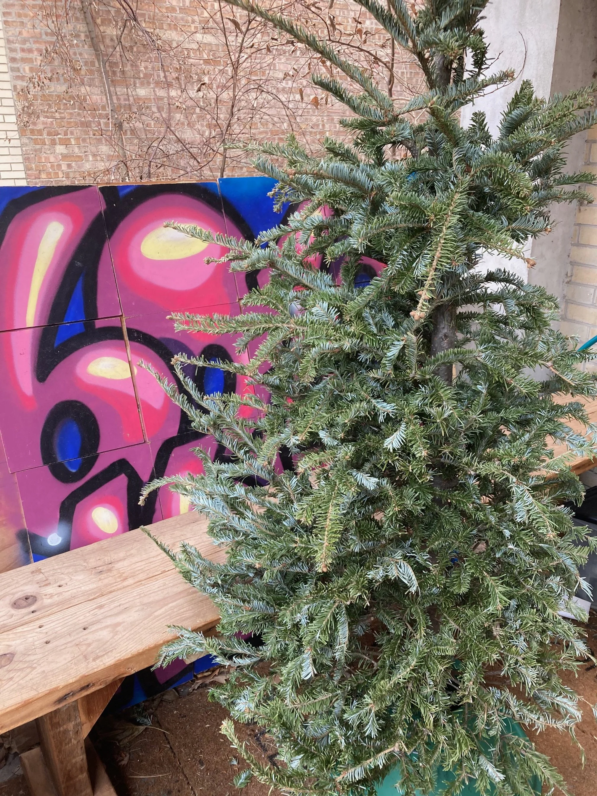 Art and Botanics Workshop with Luftwerk