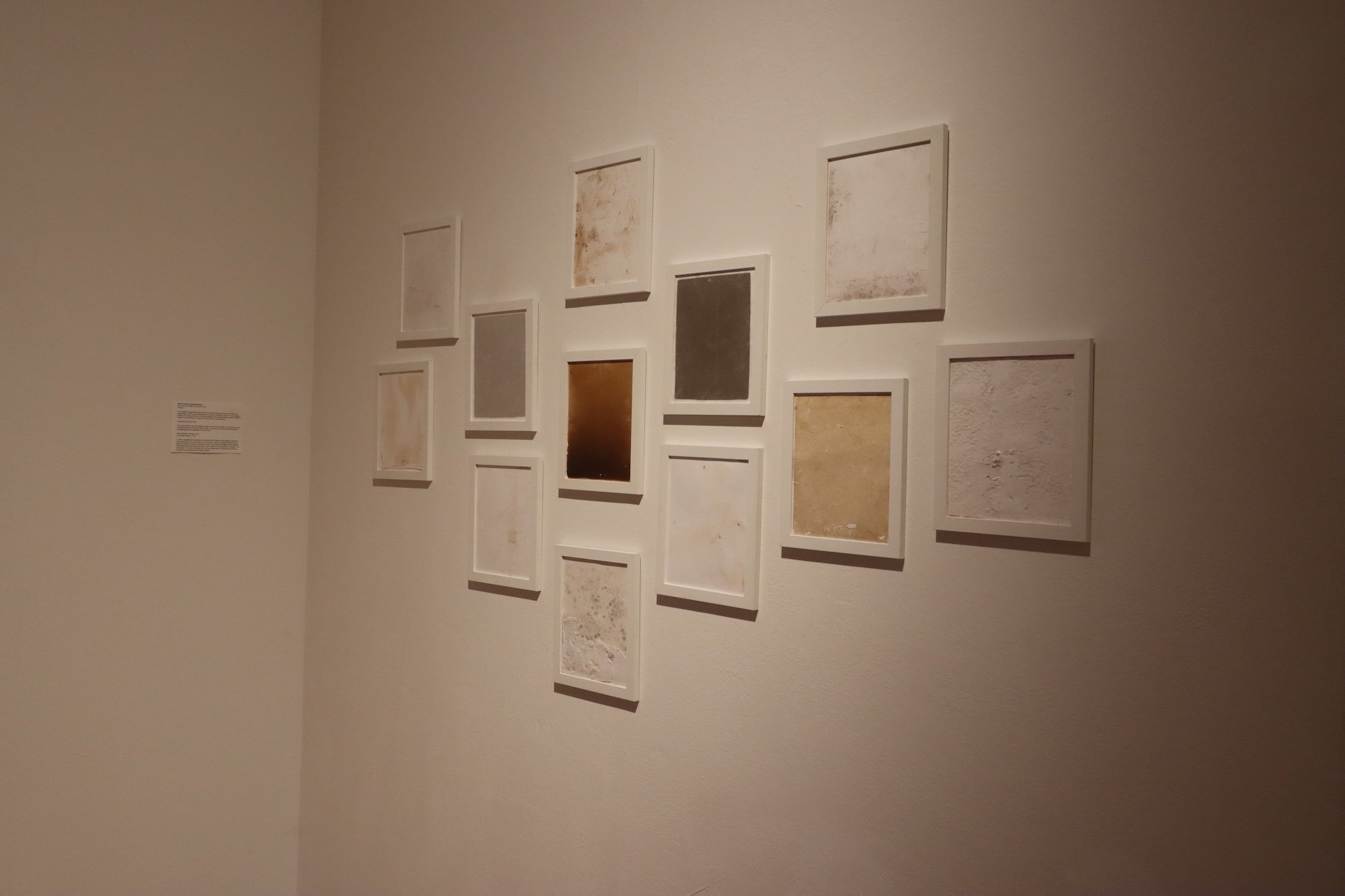 Copy of Copy of IMG_2841.JPG