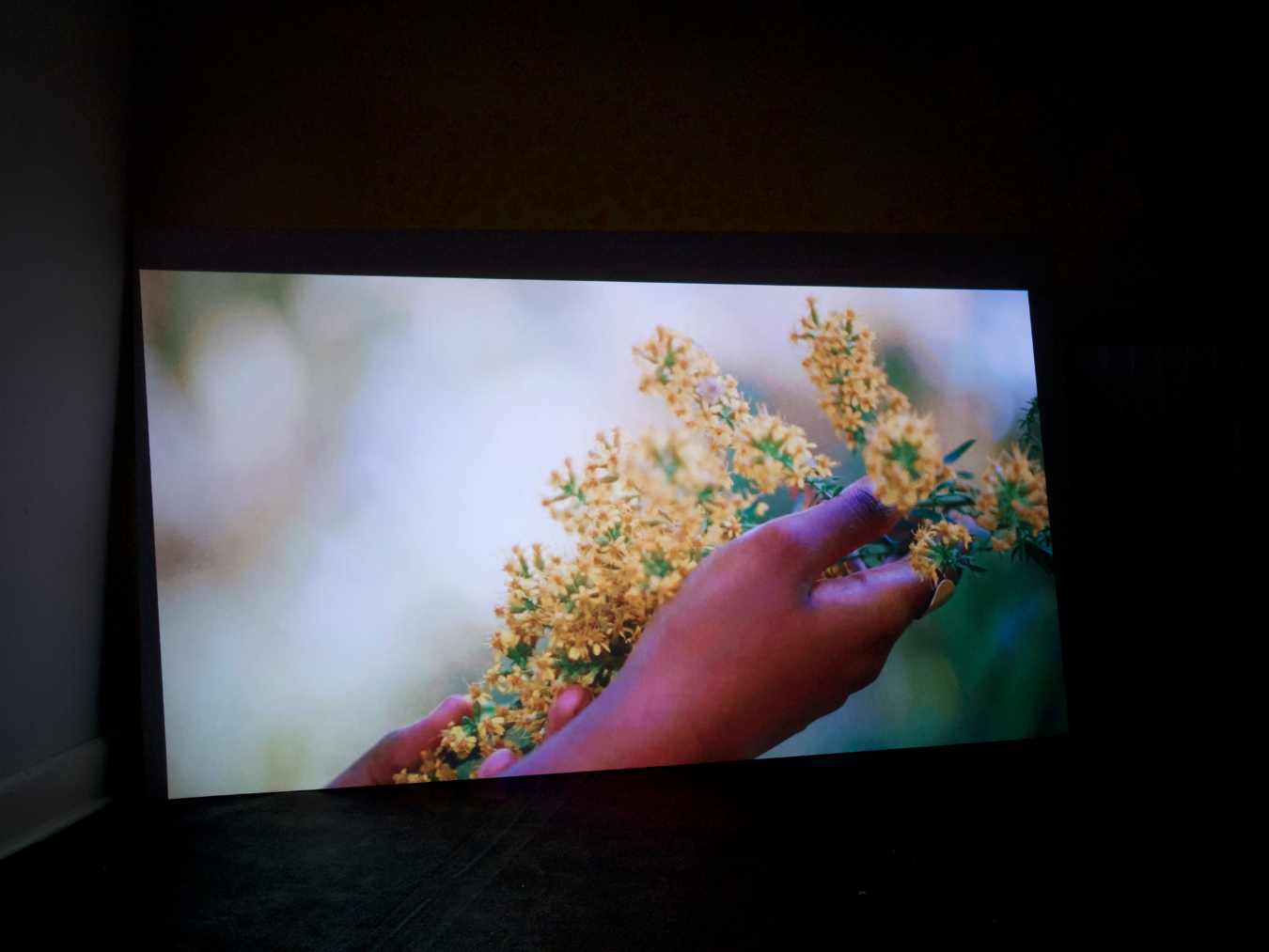 Video by Charles Krampah