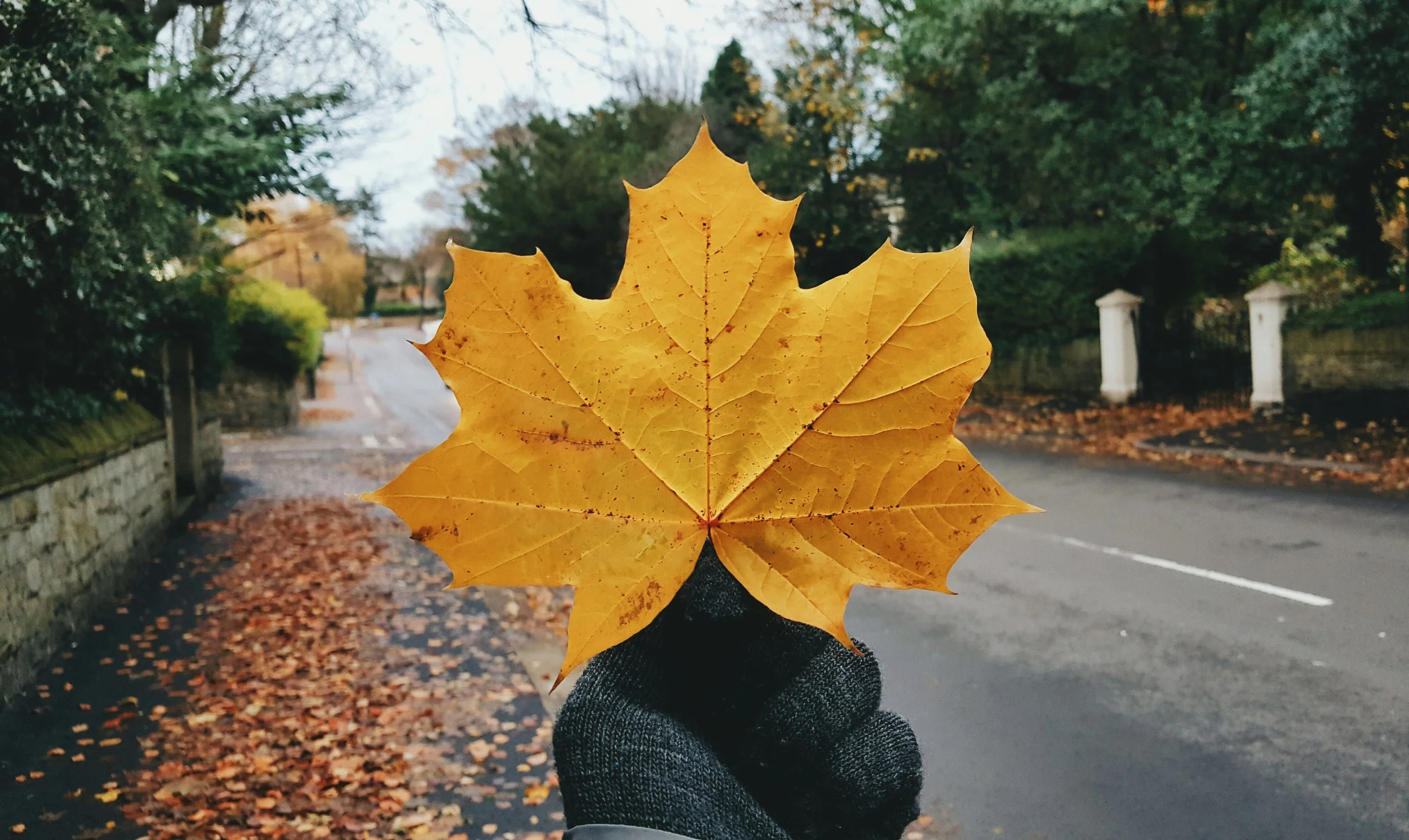 20161120_203935.jpg