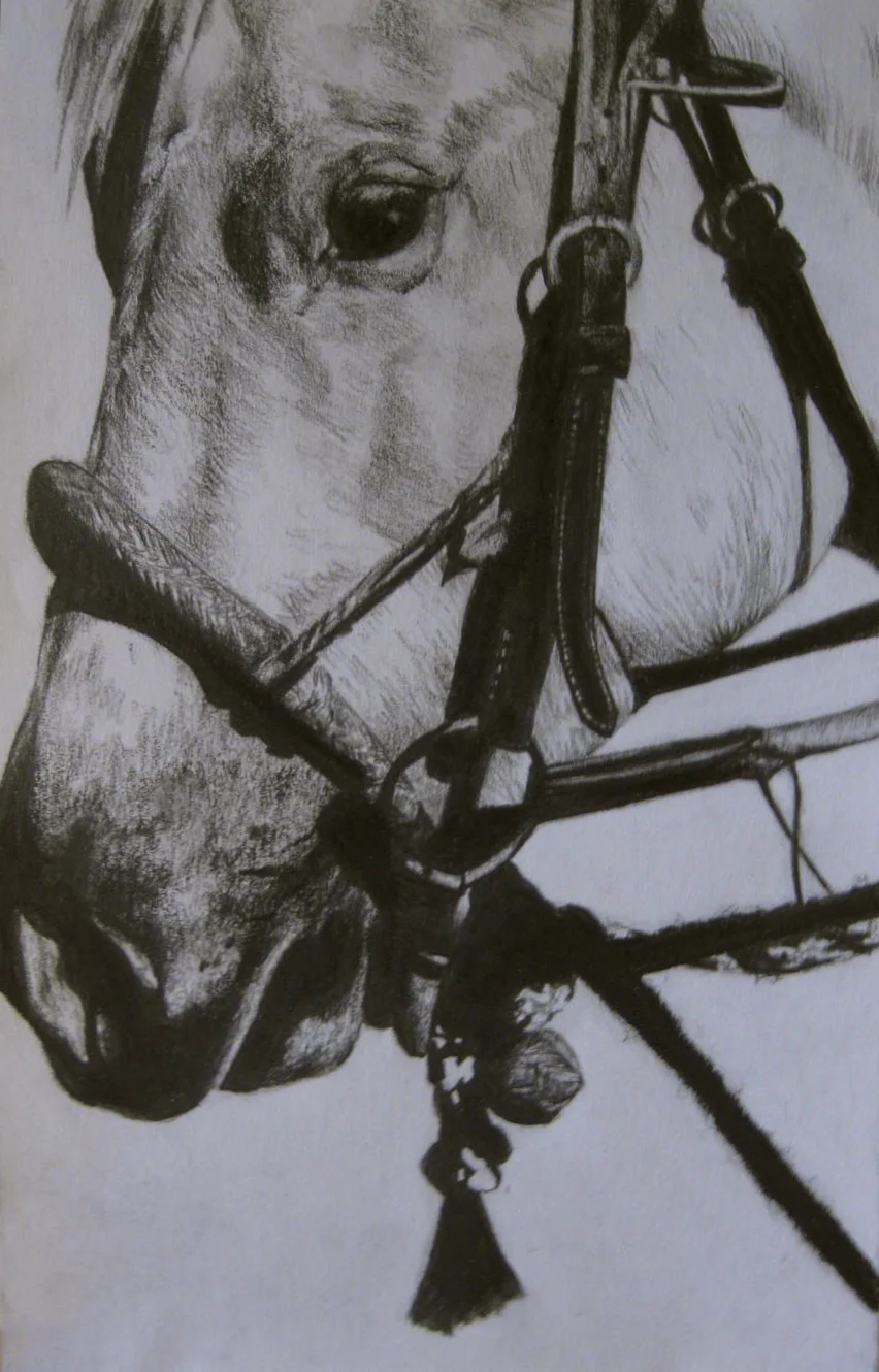 horse head.jpg