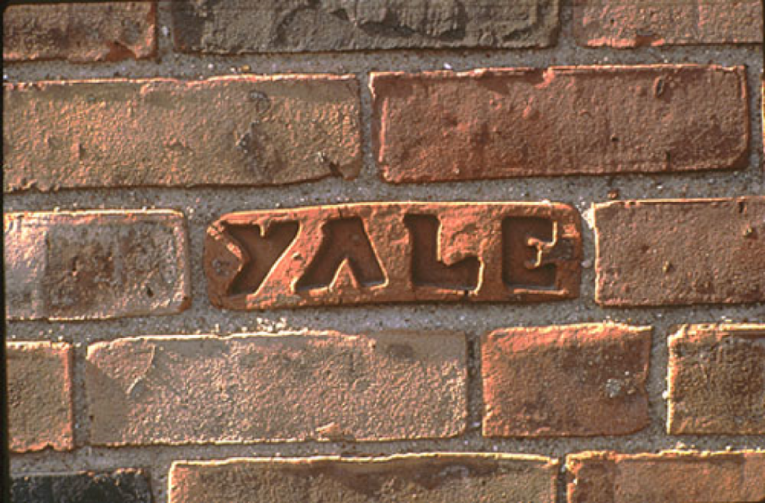 Yale Investments Office