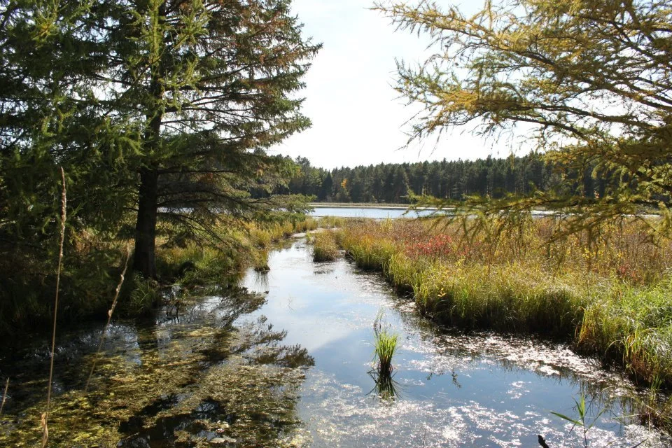 “Water Is Life” in Ojibwe Culture: Meaning, Teachings, and Responsibility