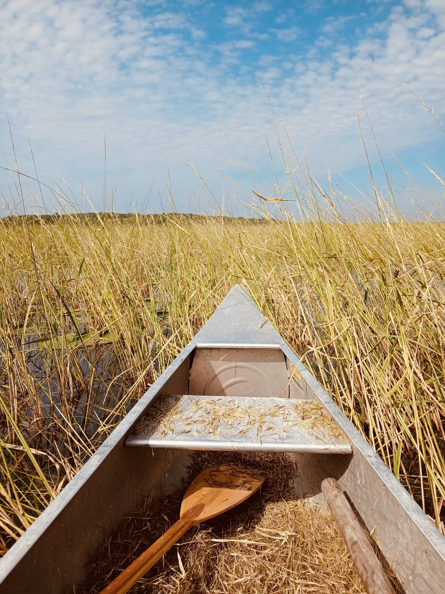 Traditional Foods, Health, and Survival: What Ojibwe History Can Teach Us Today