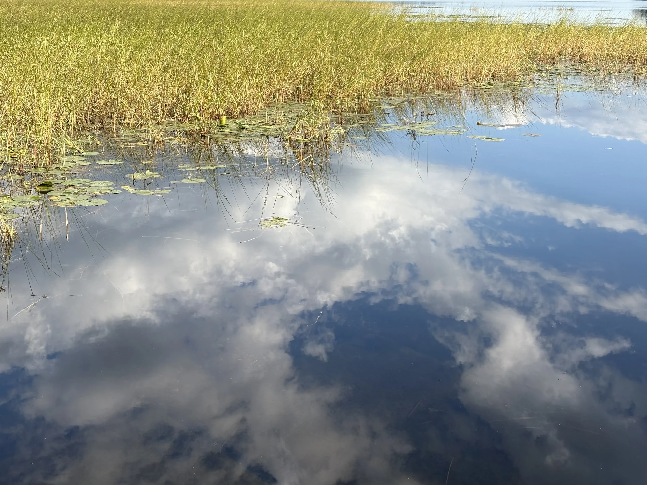 Learning Through Culture: Connecting Indigenous Knowledge, Science, and Education