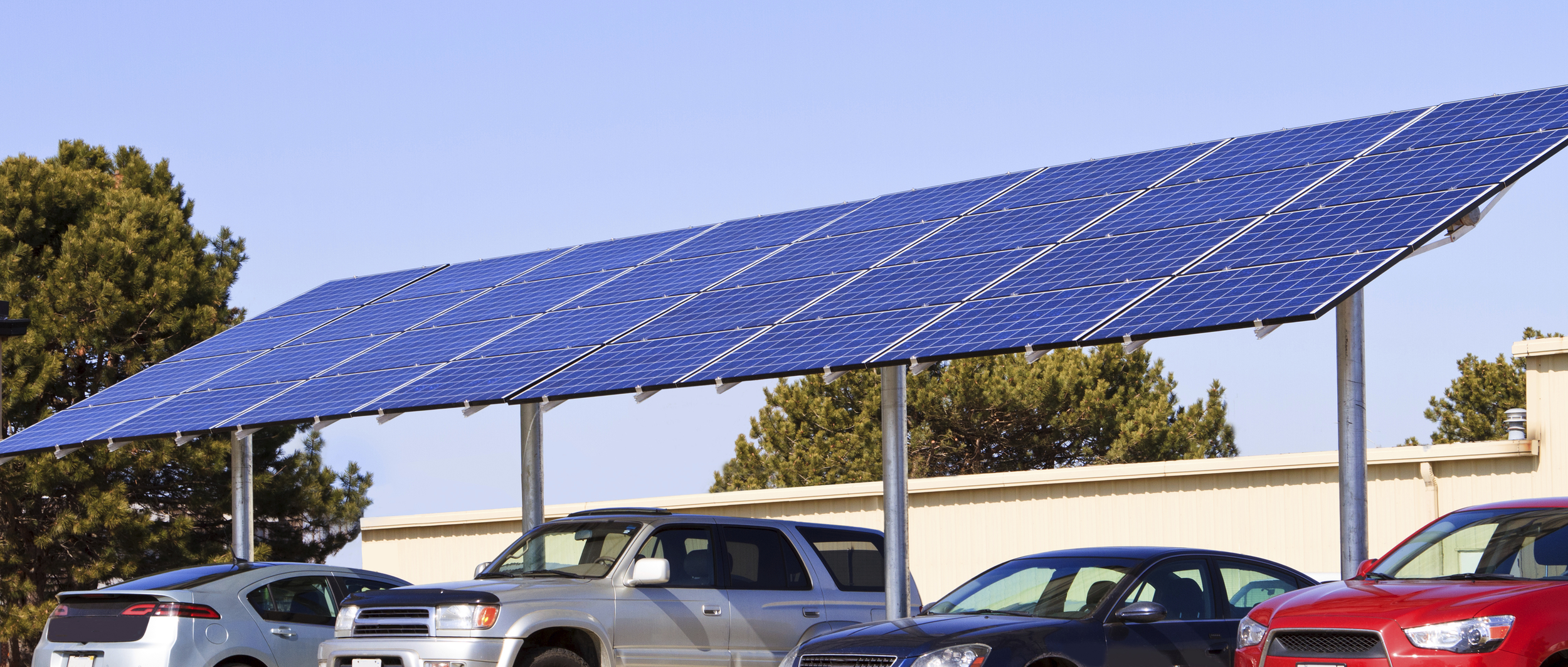 TURN YOUR BUSINESS GREEN