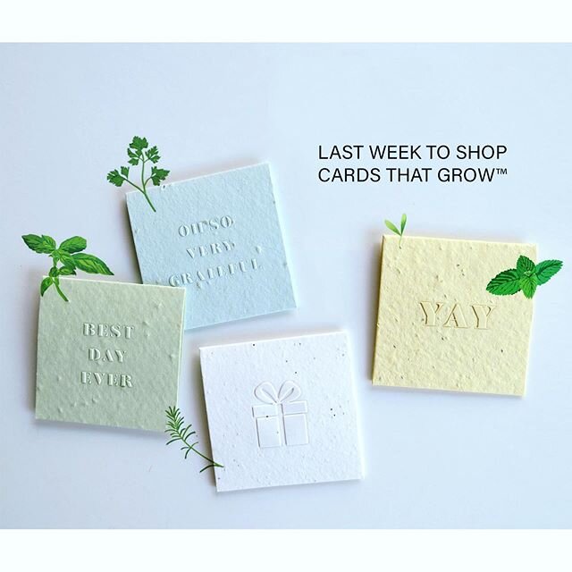 F I N A L  W E E K 🌿  We extended our Cards That Grow&trade; season to the end of May (yay!) which means this is the final week of 2020 to purchase our plantable cards. Doubling as a gift in a card, appropriate for infinite occasions, three-year she