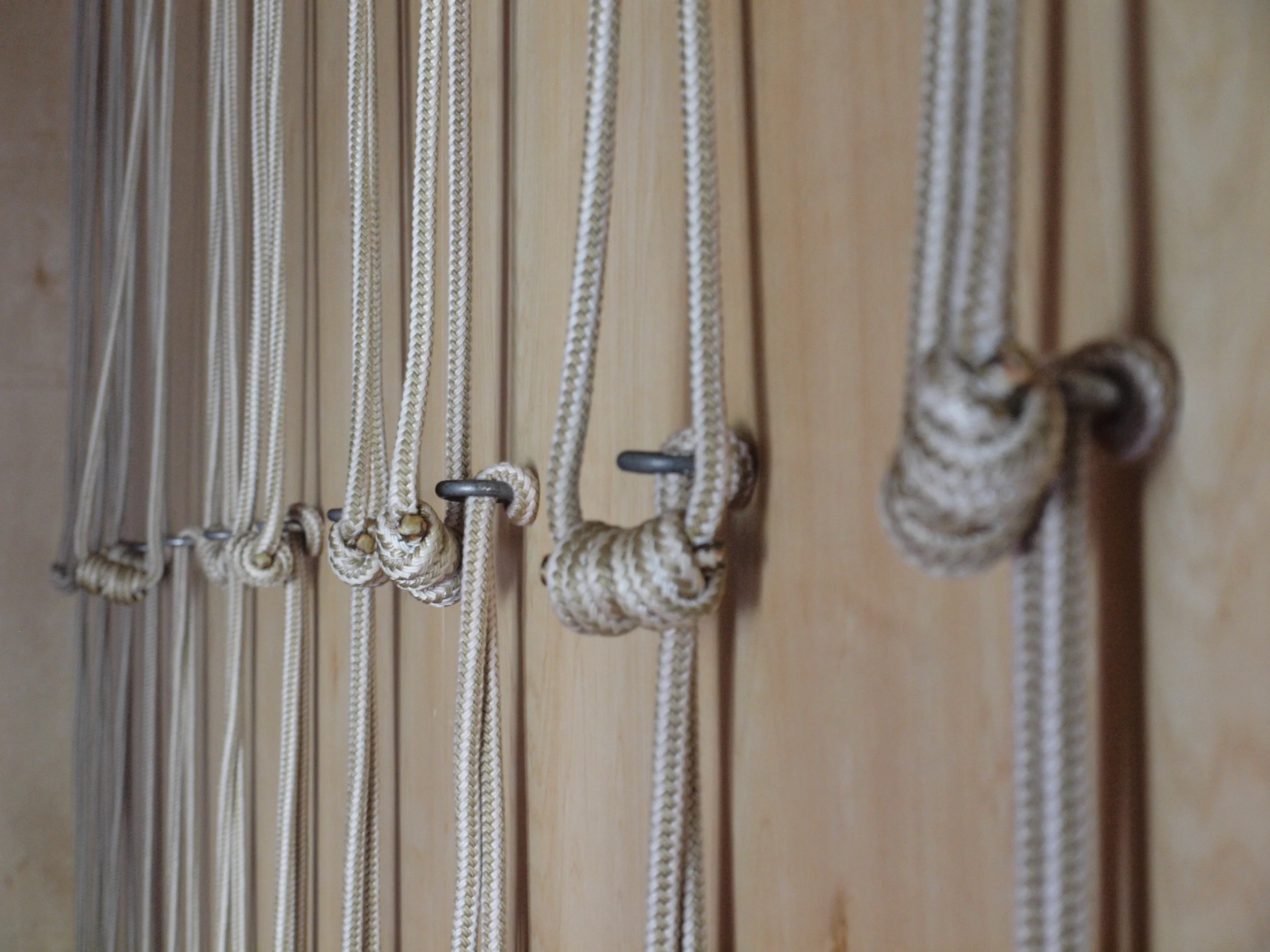 ropes.jpg