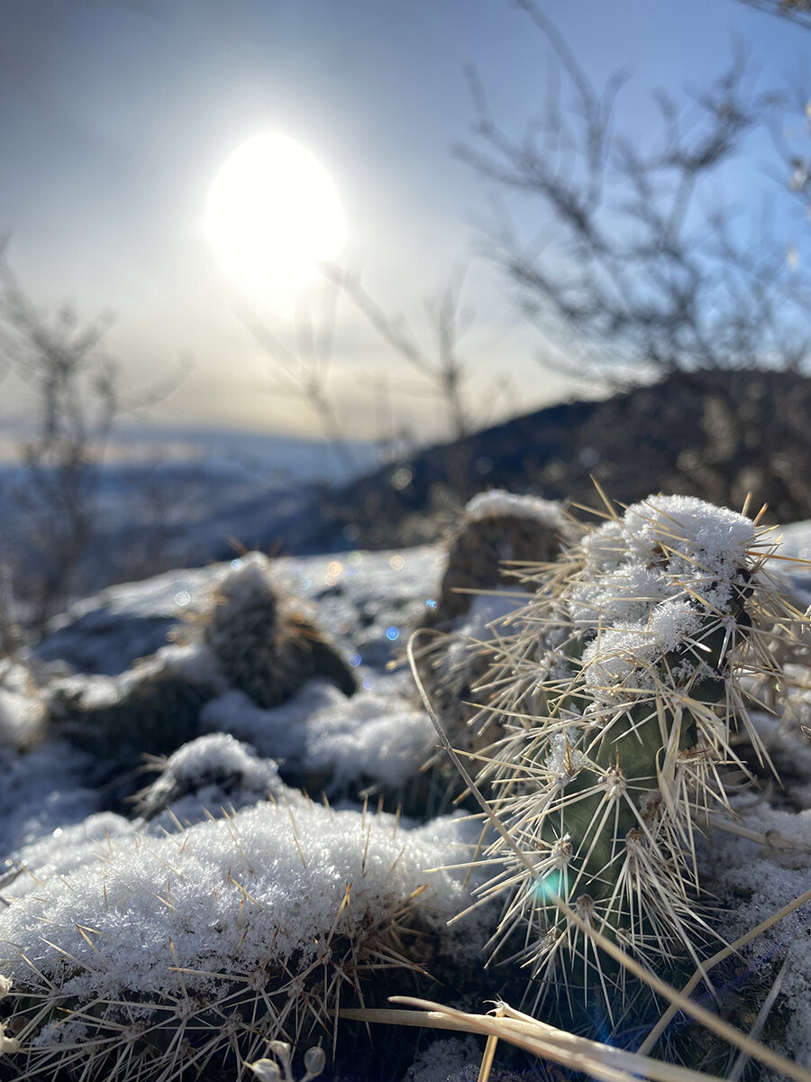 Colorado runJMrun Dec 2020 17.jpg