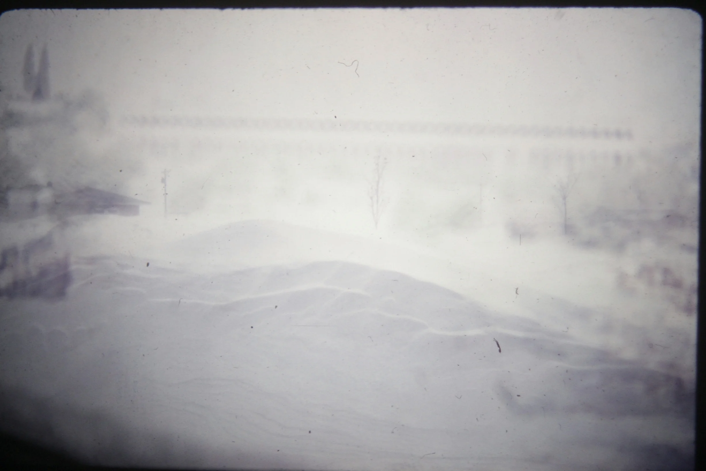 Snow Collection: Window