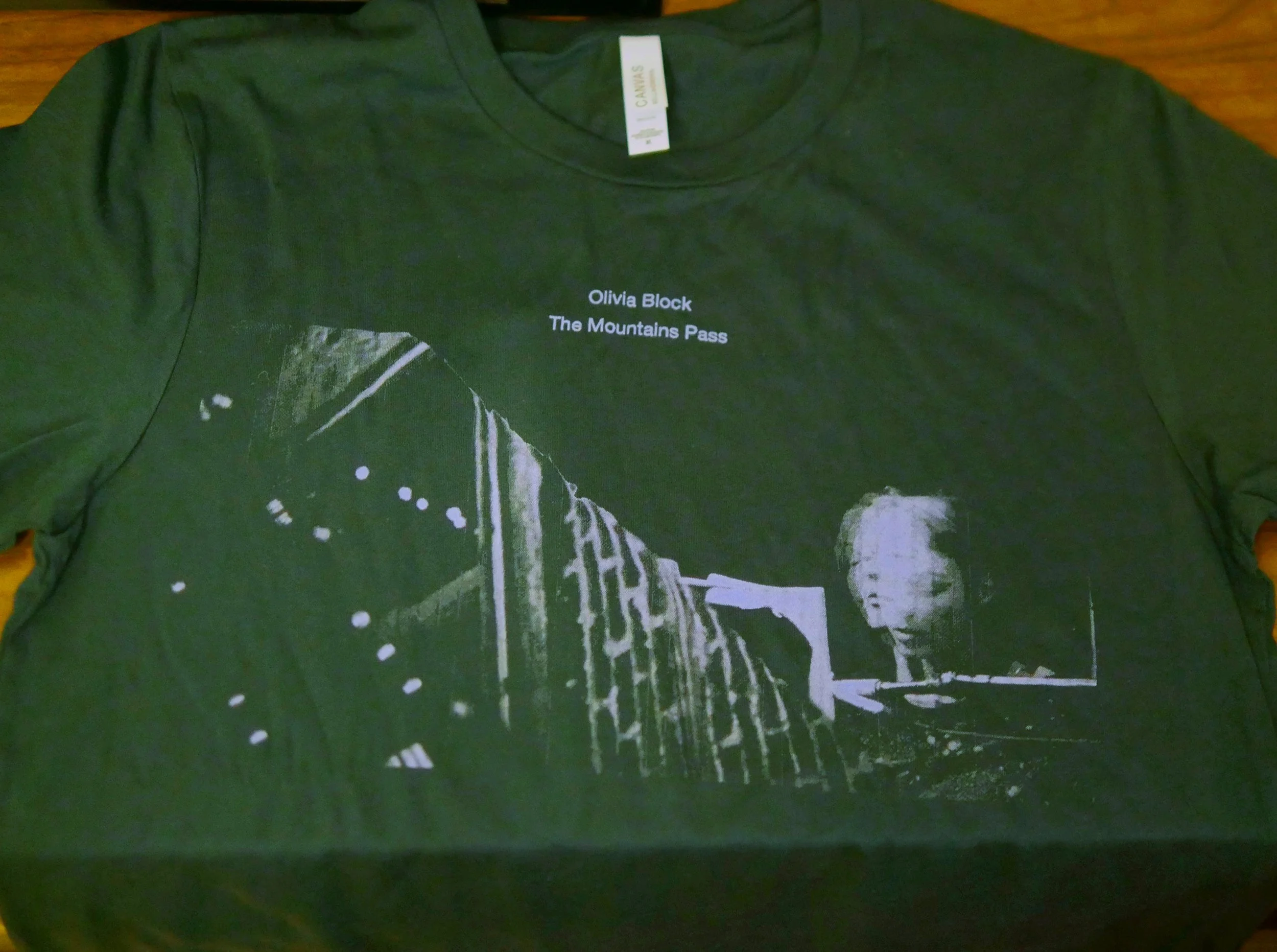 Mountains Pass tee close.JPG