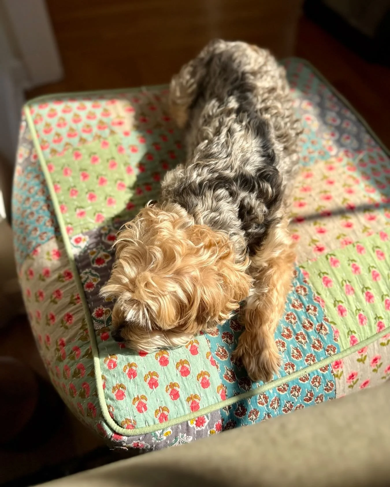 A little sun siesta with my Charlotte before getting back to work! It&rsquo;s almost the weekend Charlotte and everyone, so hang in there! ellelandon.com