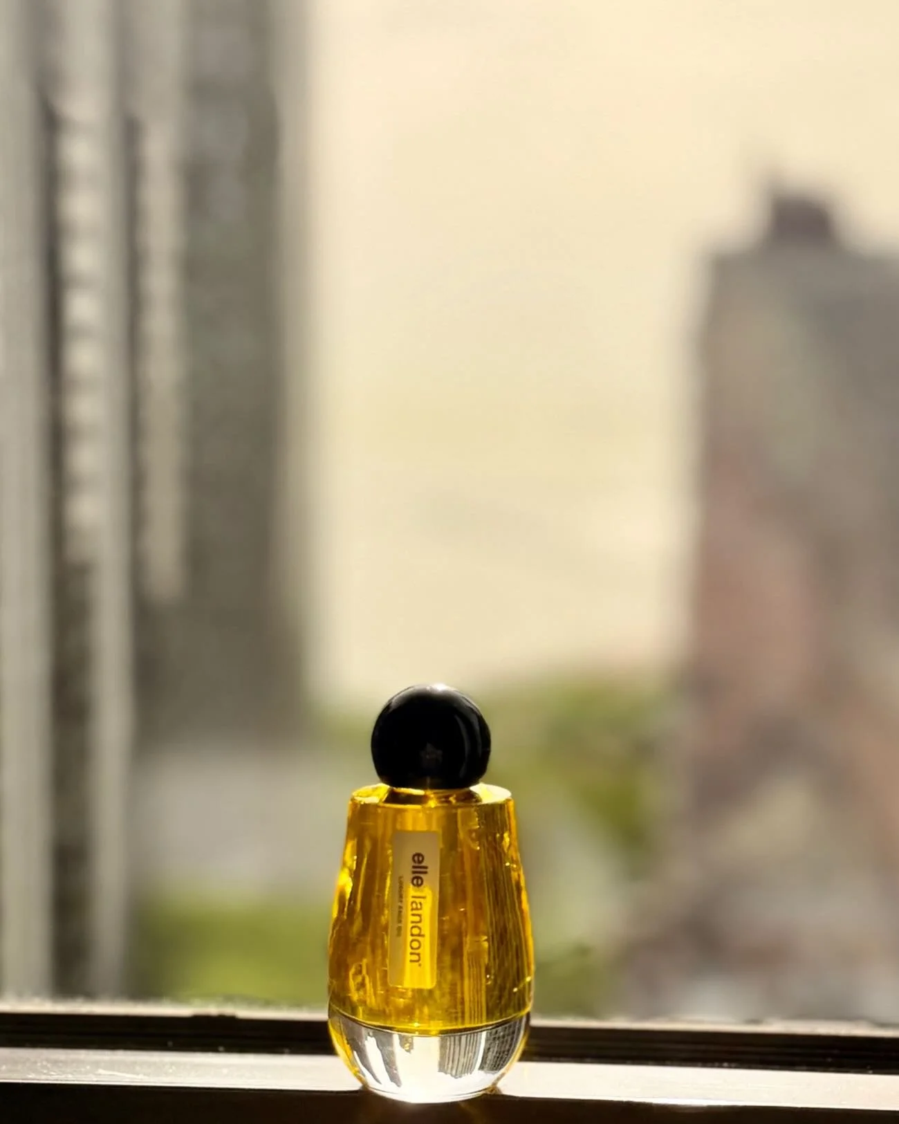 Golden hour hits different in Chicago ☀️✨ Our Elle Landon Face Oil brings that same radiant glow to your skin &mdash; nourishing, lightweight, and made to make you shine wherever the city takes you. Shot from a Chicago window with the skyline as our 