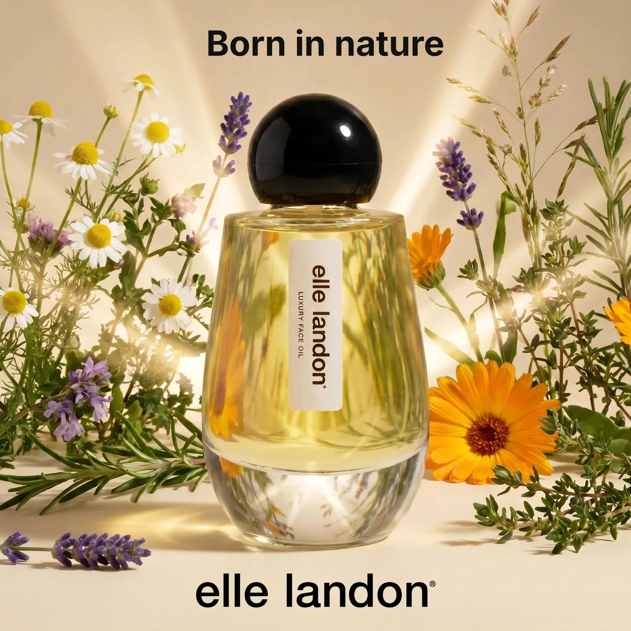 "Elle Landon Luxury Face Oil is wonderful! I use it daily on my face under makeup and it leaves my face feeling so alive. The scent is wonderful as well. In fact, people stop me all the time to ask what perfume I am wearing and it took me a whil