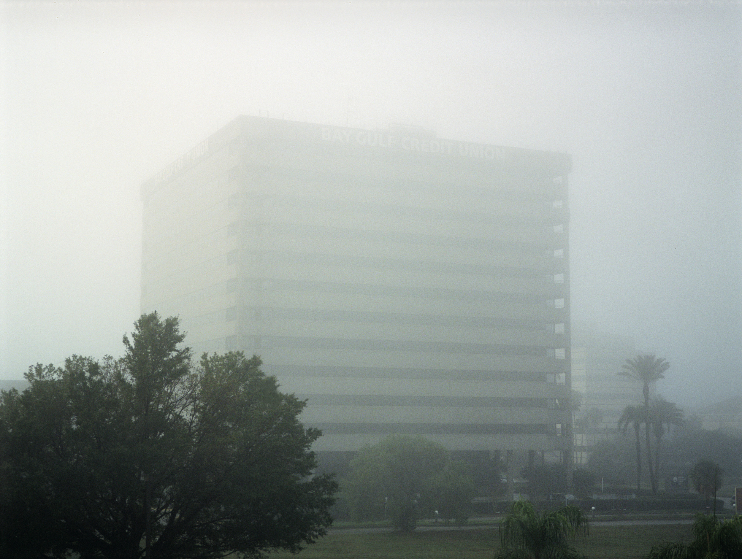 4_foggy-credit.jpg