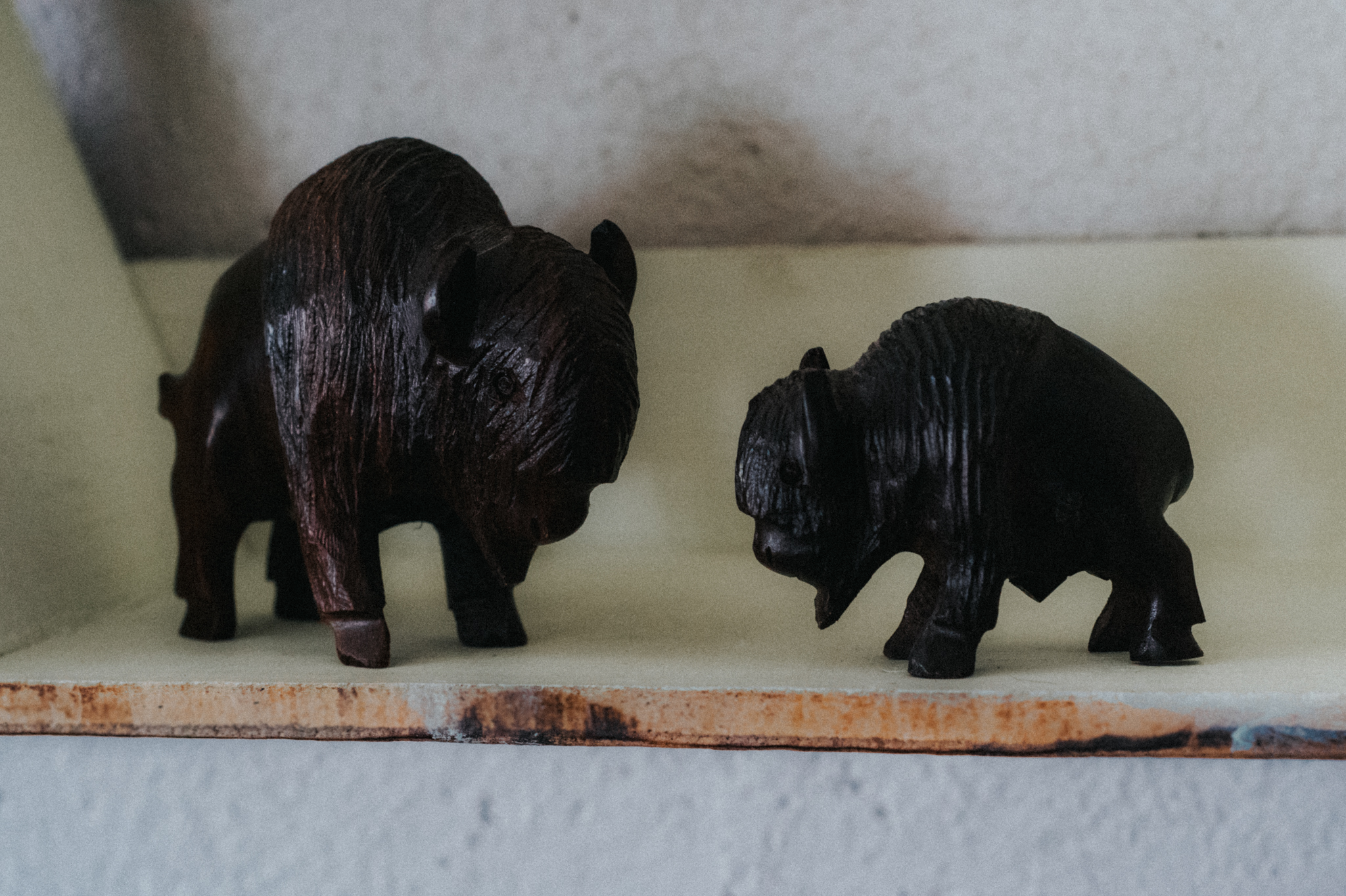 Hand Carved American Bison  