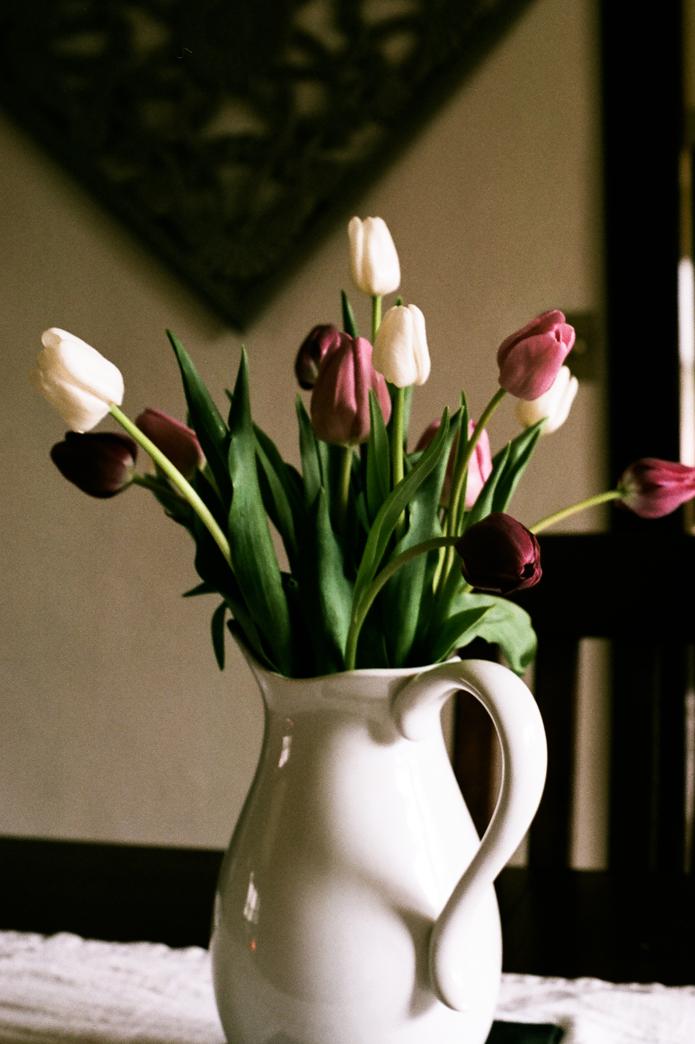 tulips. Idaho Avenue Studios. natural light. film. fuji 400.