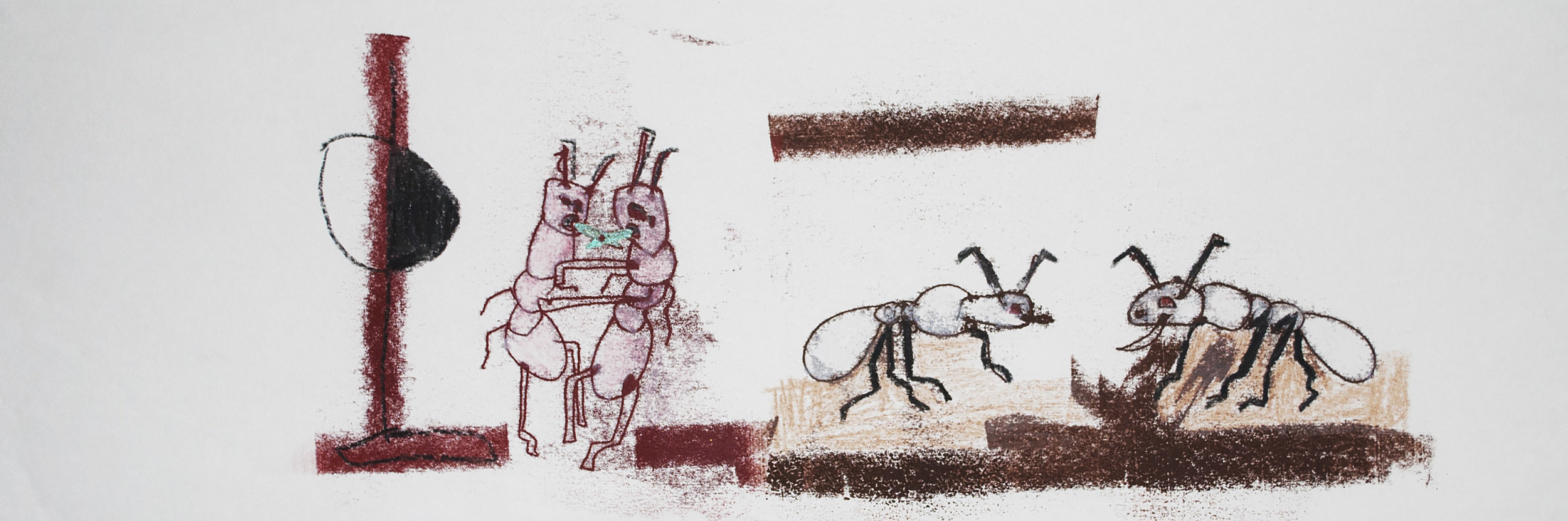 Animals Attract Admire and Act 26" X 8"