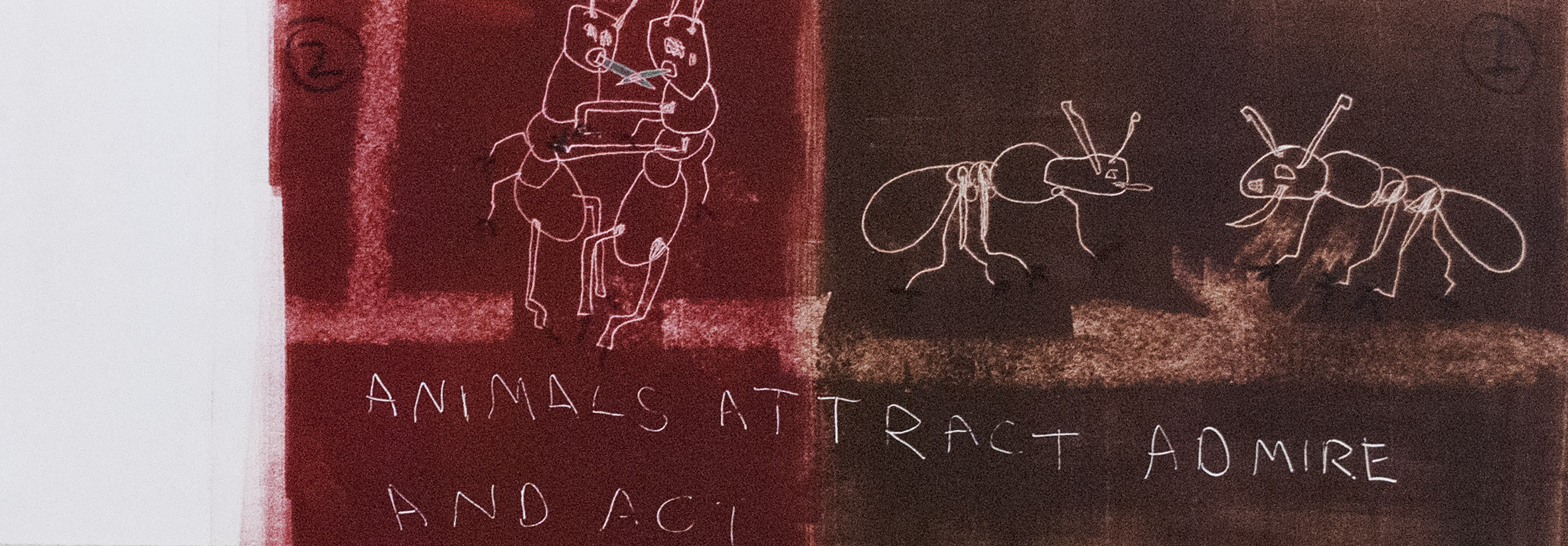 Animals Attract Admire and Act 2 26" X 8"