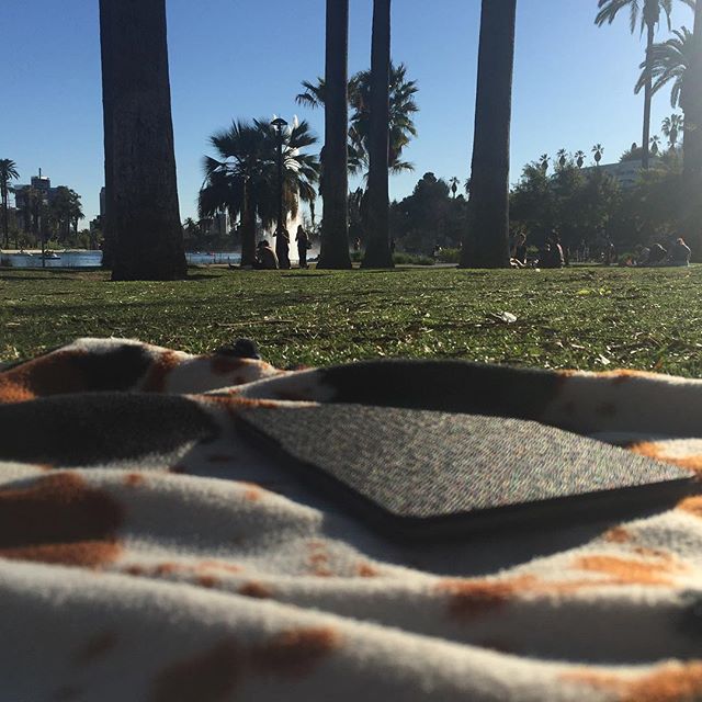 The view from echo park on a blanket laying down enjoying the day #echopark #echoparklake #chillin