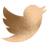 twitter_icon48px.png