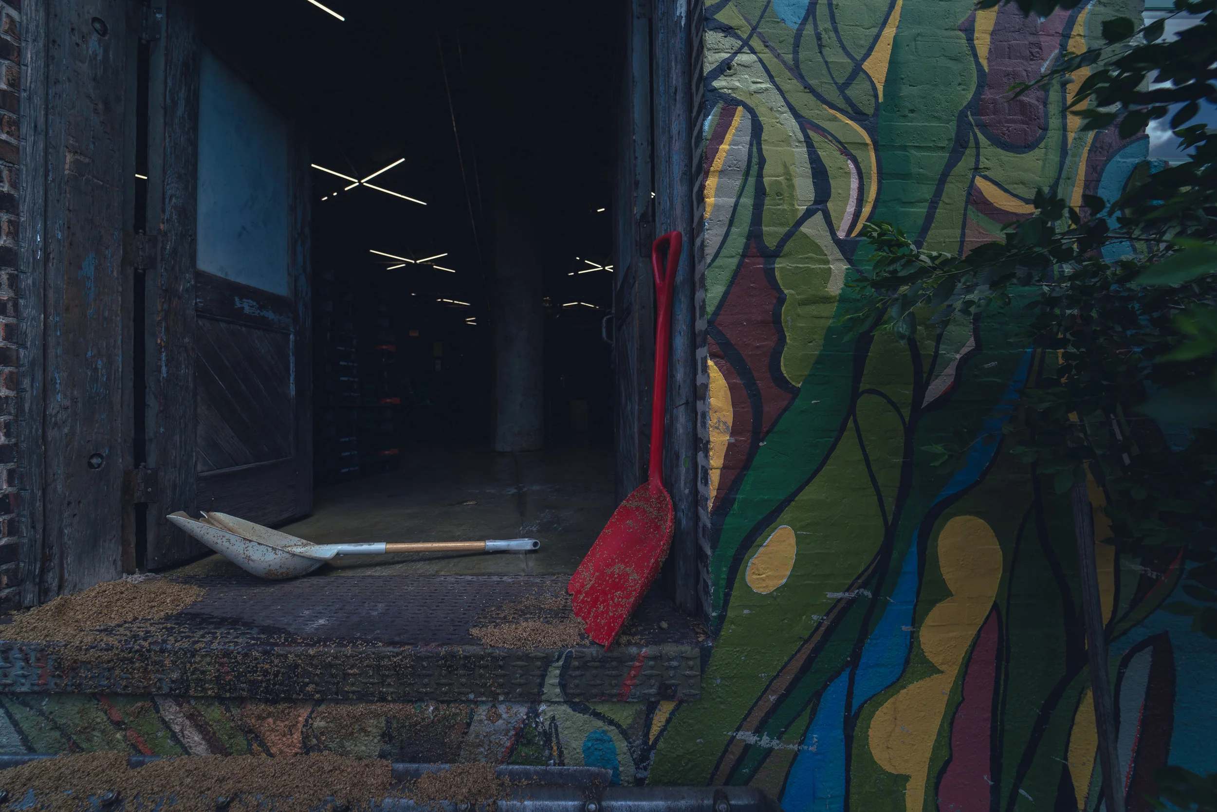 DSC00007.jpg?format=2500w