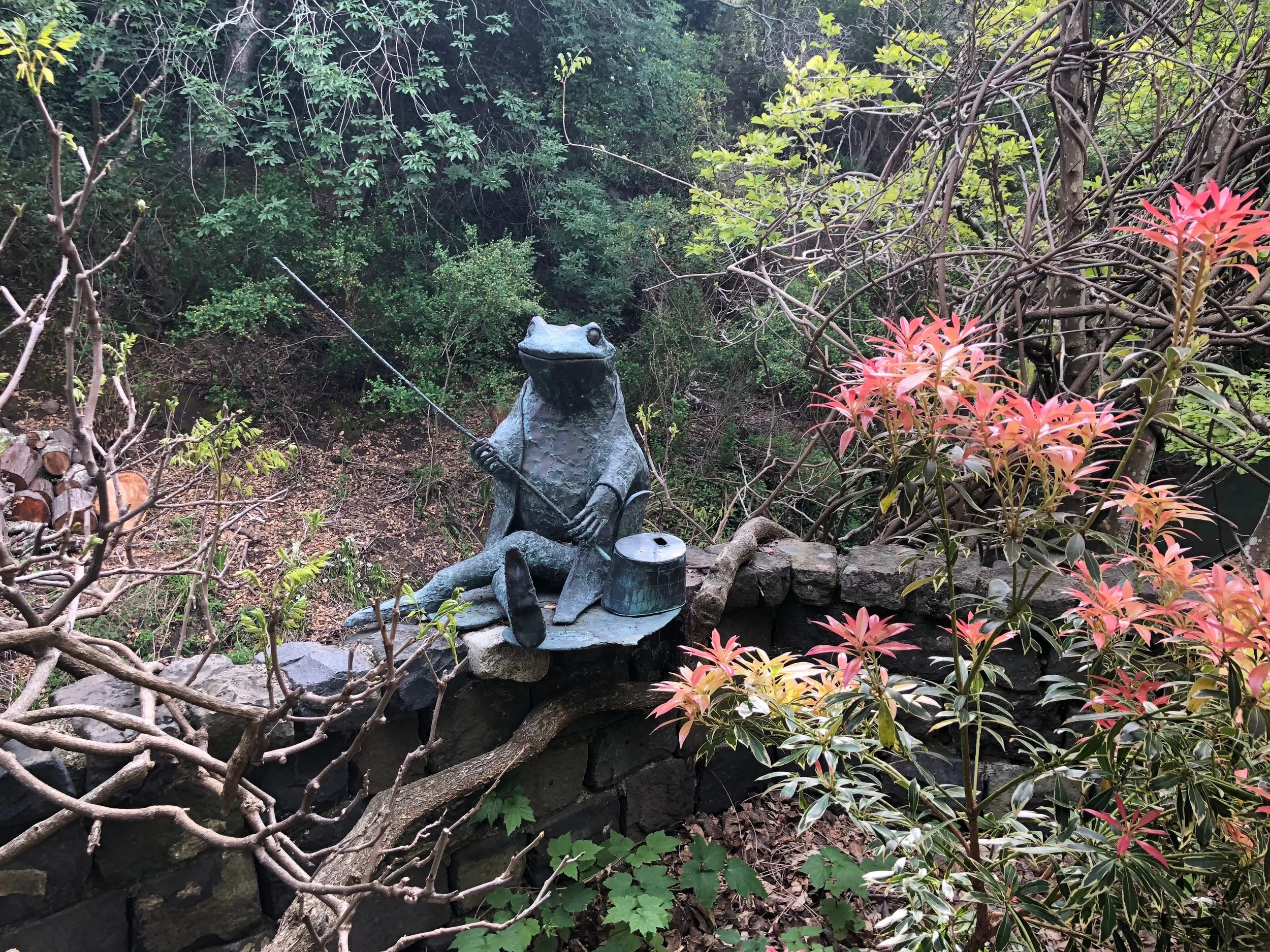 The bronze frog sculpture 'Jeremy Fisher', a Beatrix Potter figure (sculpture by Albert Guibara) has enjoyed three of Susan's gardens. "He is the happiest he has ever been here, fishing in the creek."