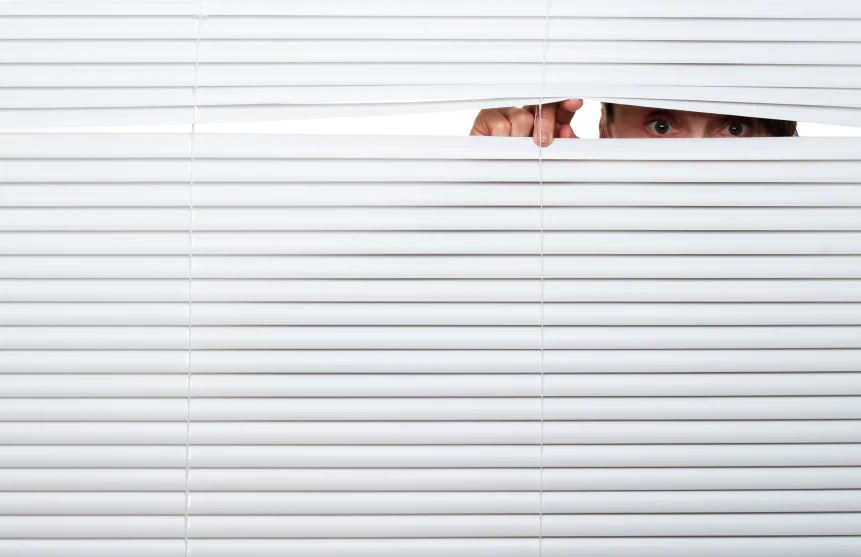 hide.jpg