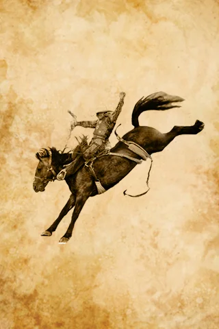 saddlebronc.jpg