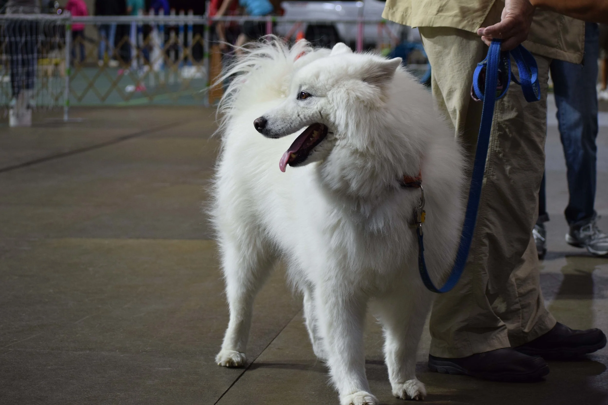 DSC_0757.jpg