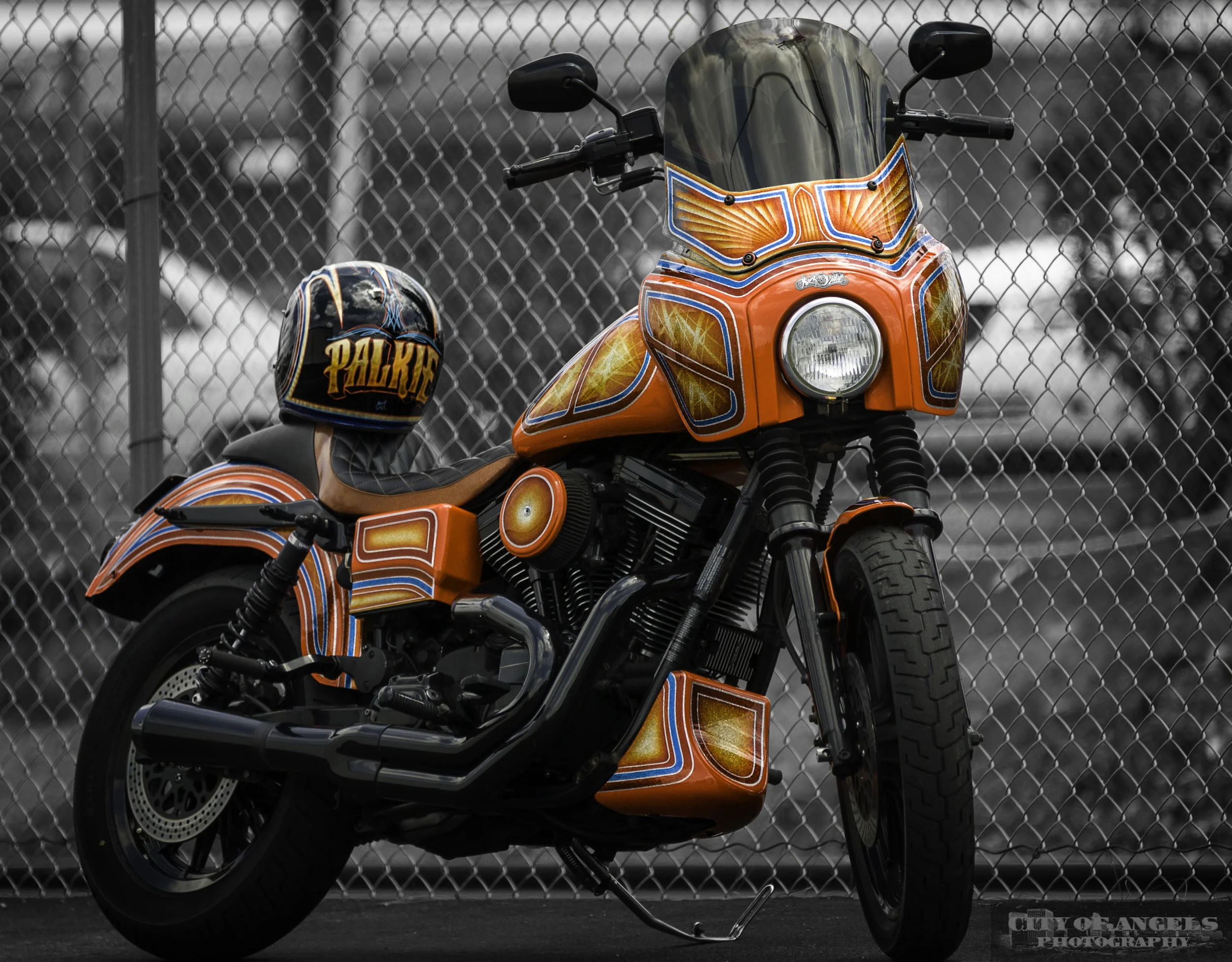 Palkie Bike Buckwild Brand Edited-4.jpg