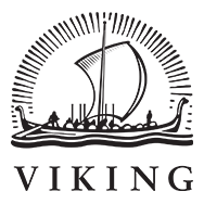 Viking_penguin.png