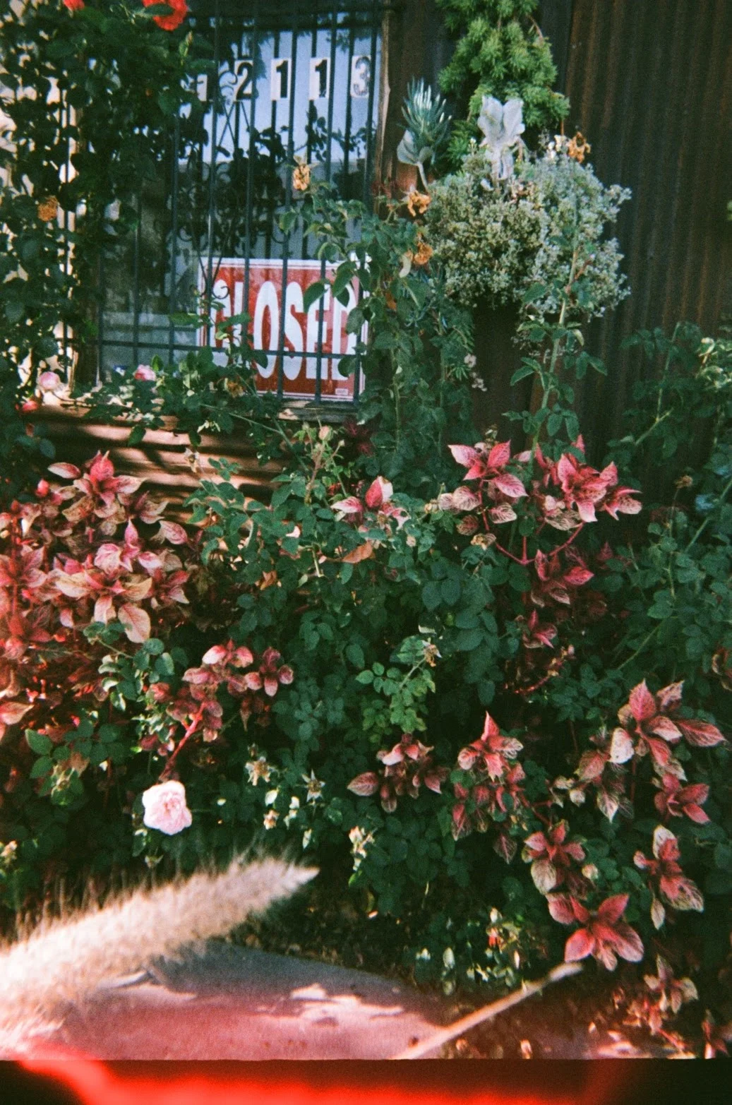 closed.jpg