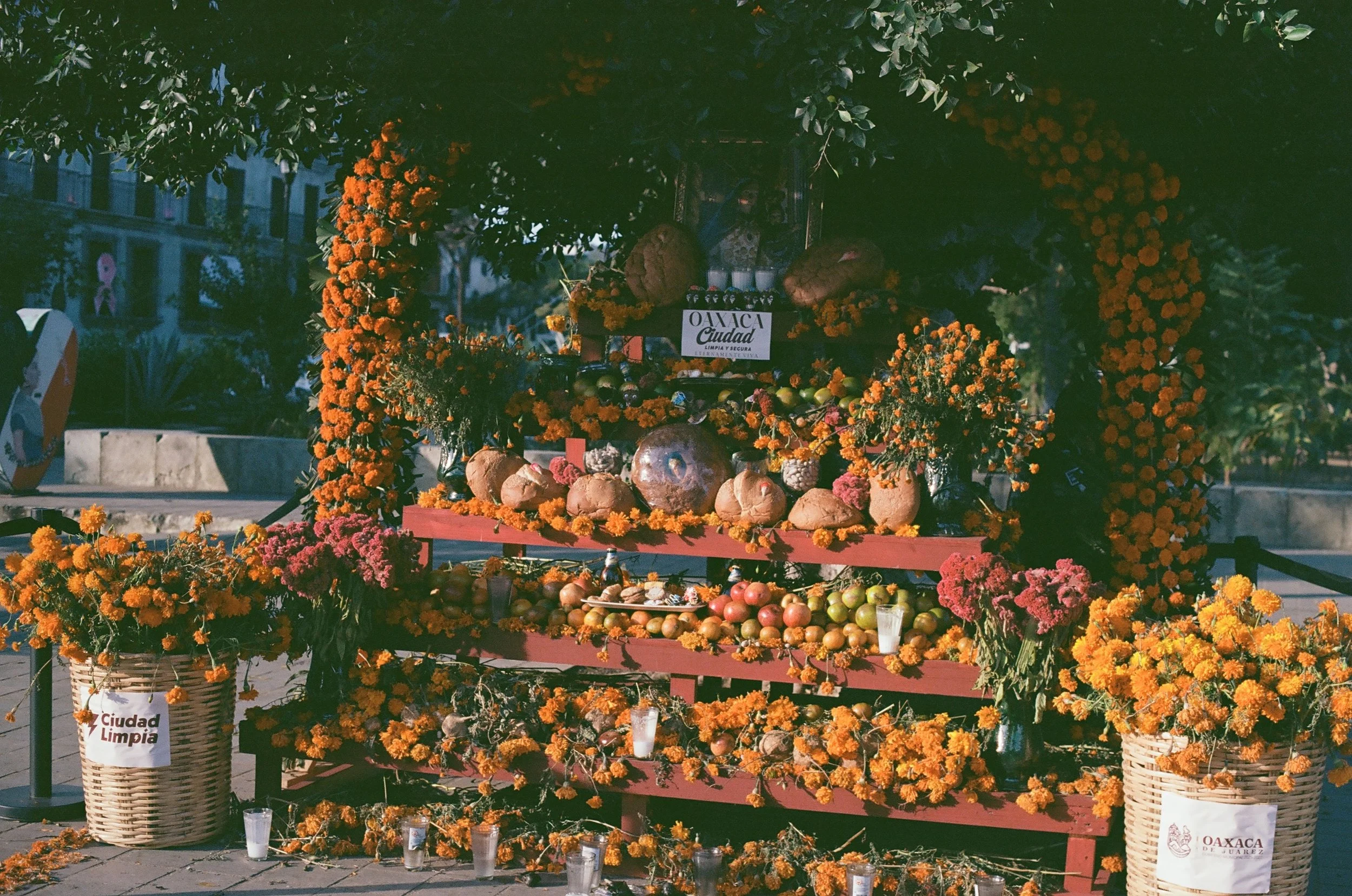 832547_0014.jpg