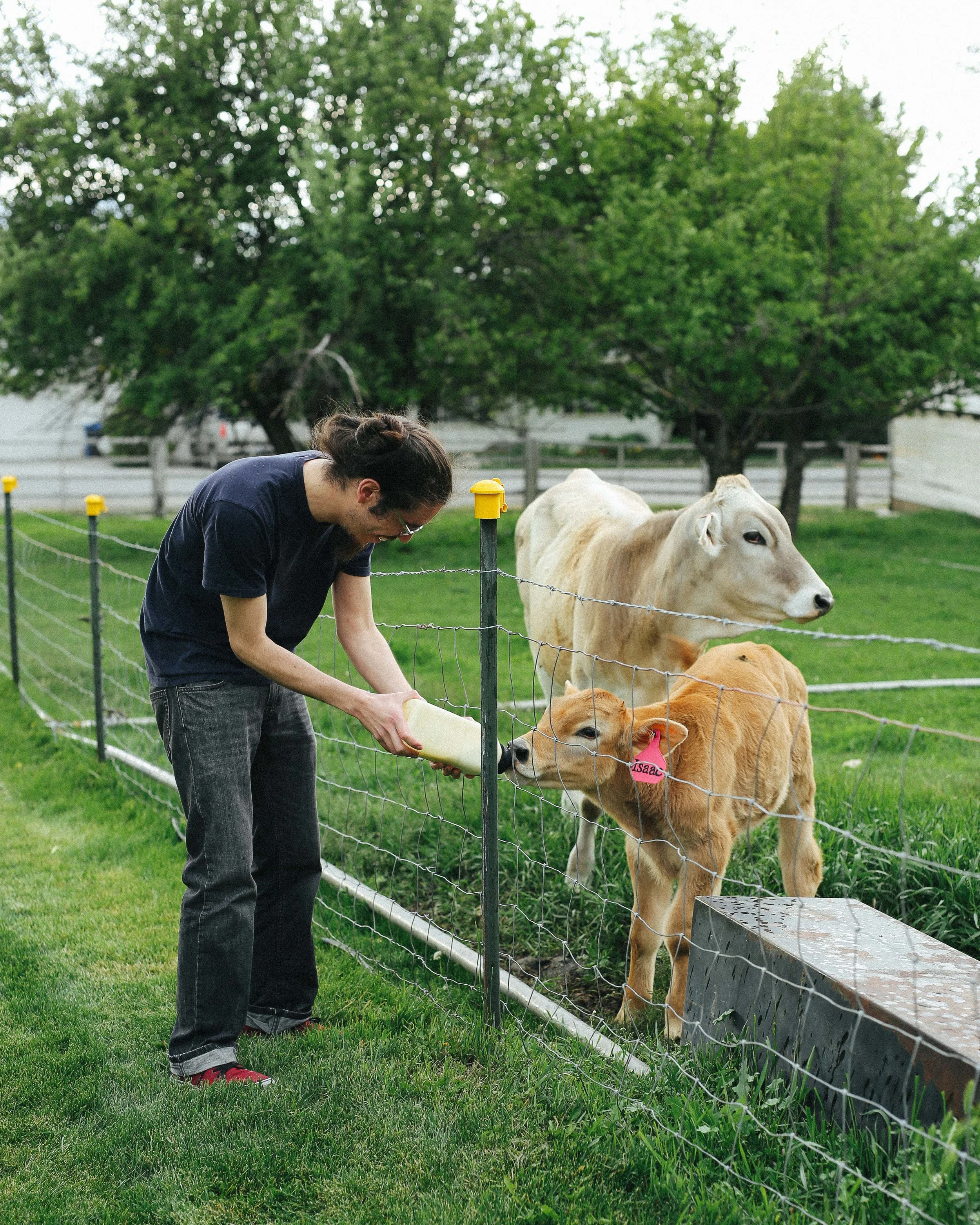 rodrigo, bess, and issac - rockhill creamery, utah