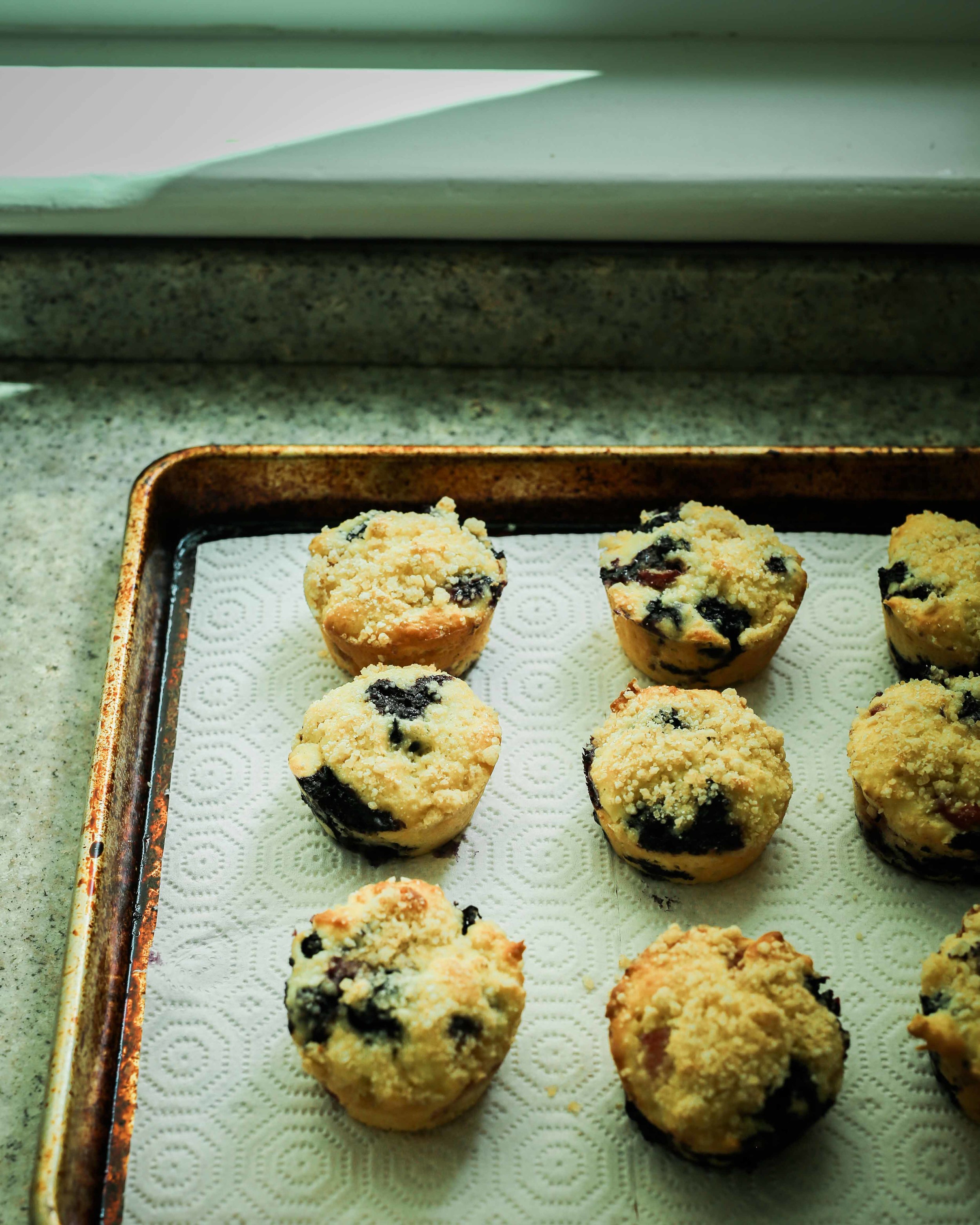 berry vanilla yogurt muffins - field + forest