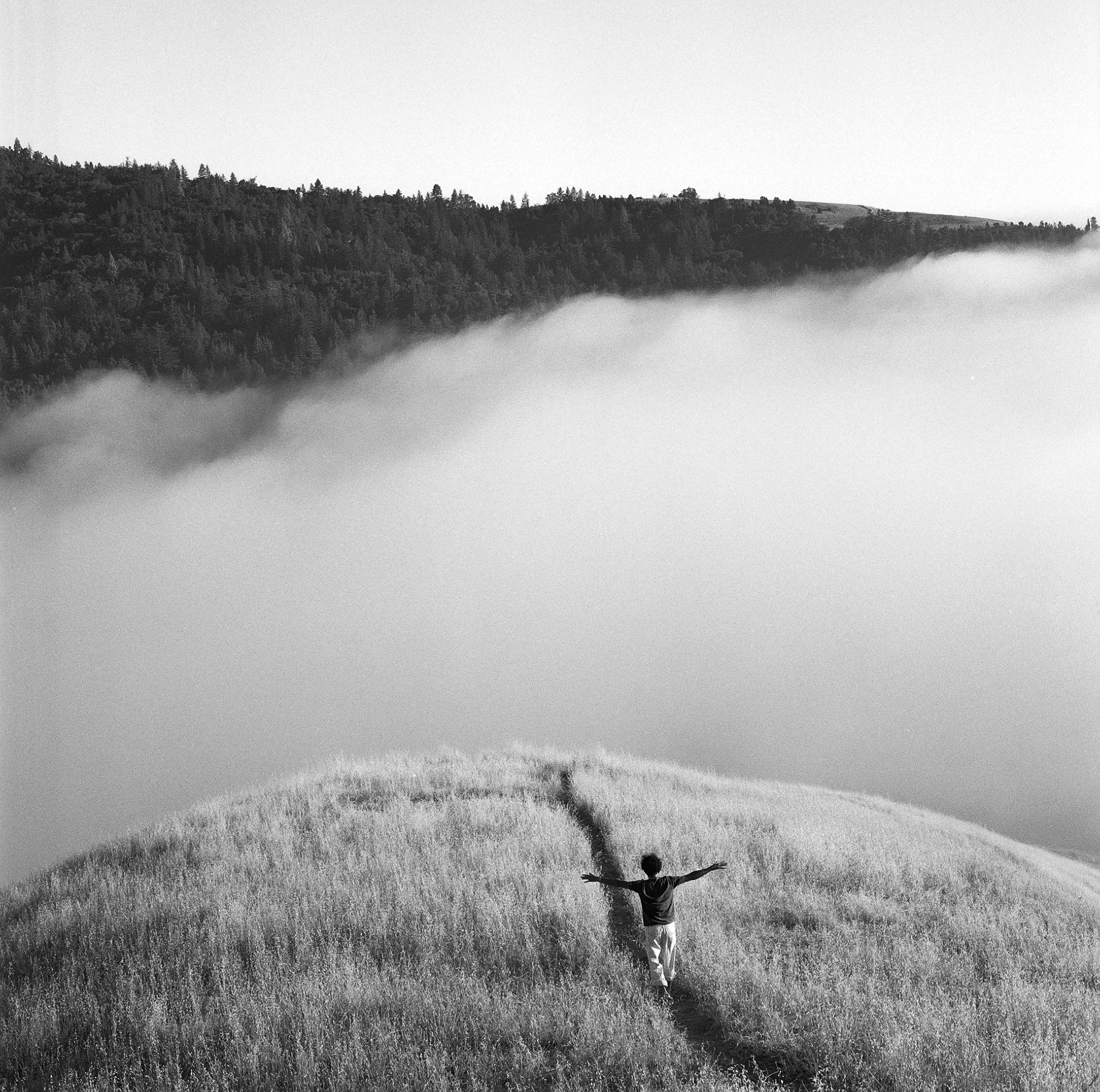 AdamShemper_2010_BigSur_SatchaonPath.jpg