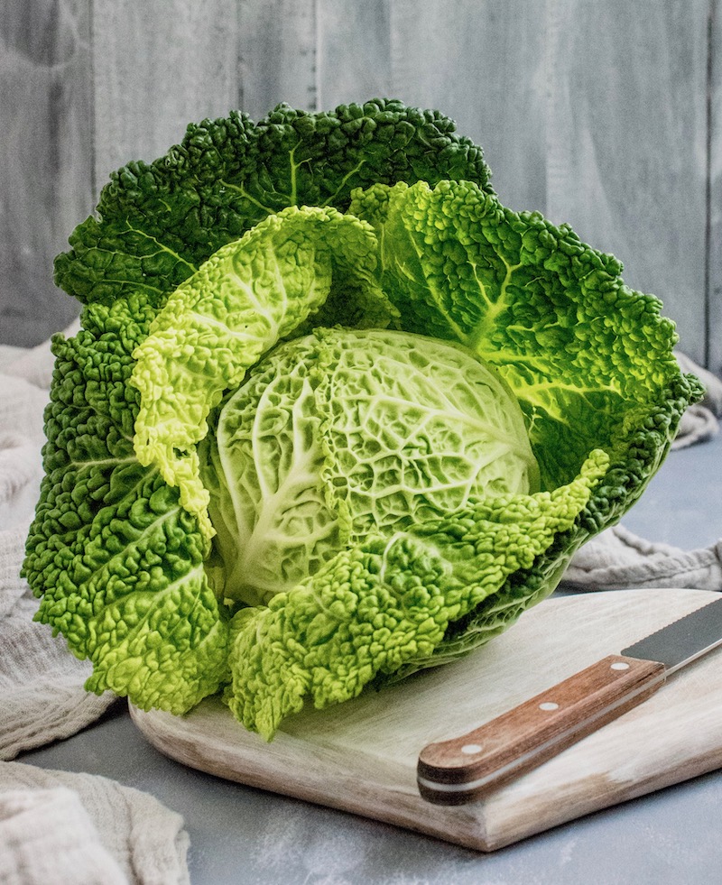 cabbage.jpeg